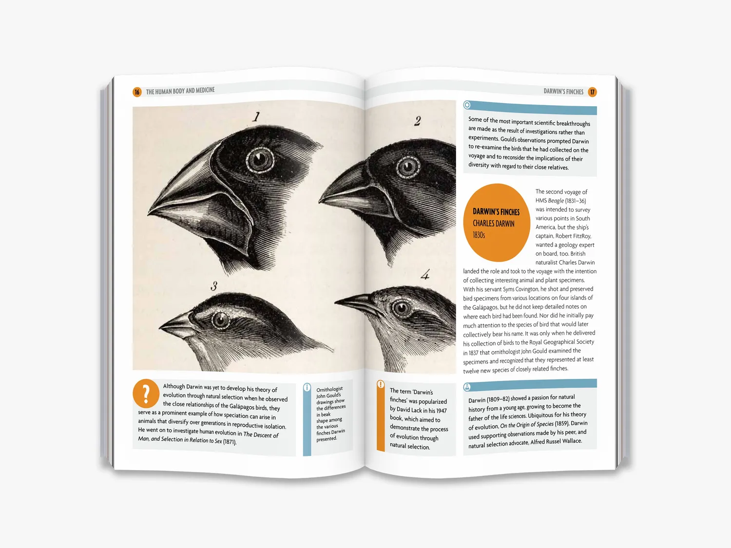 Thames & Hudson Why It's Not All Rocket Science bog videnskab