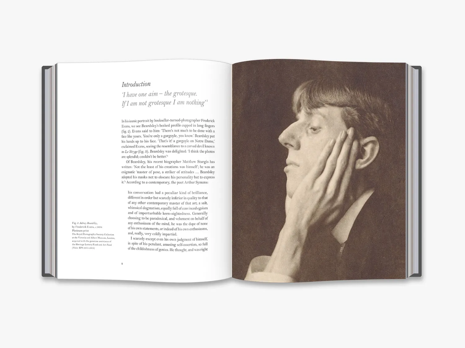 Thames & Hudson Aubrey Beardsley kunstbog Artists in Focus