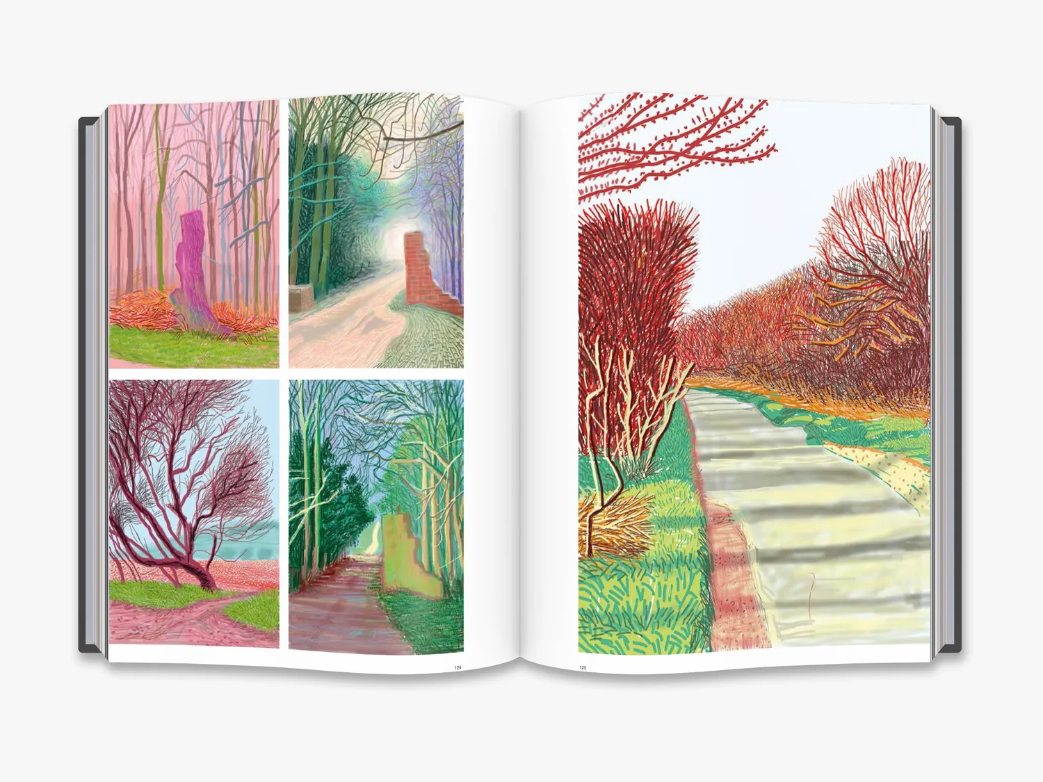 Thames & Hudson David Hockney: Current kunstbog