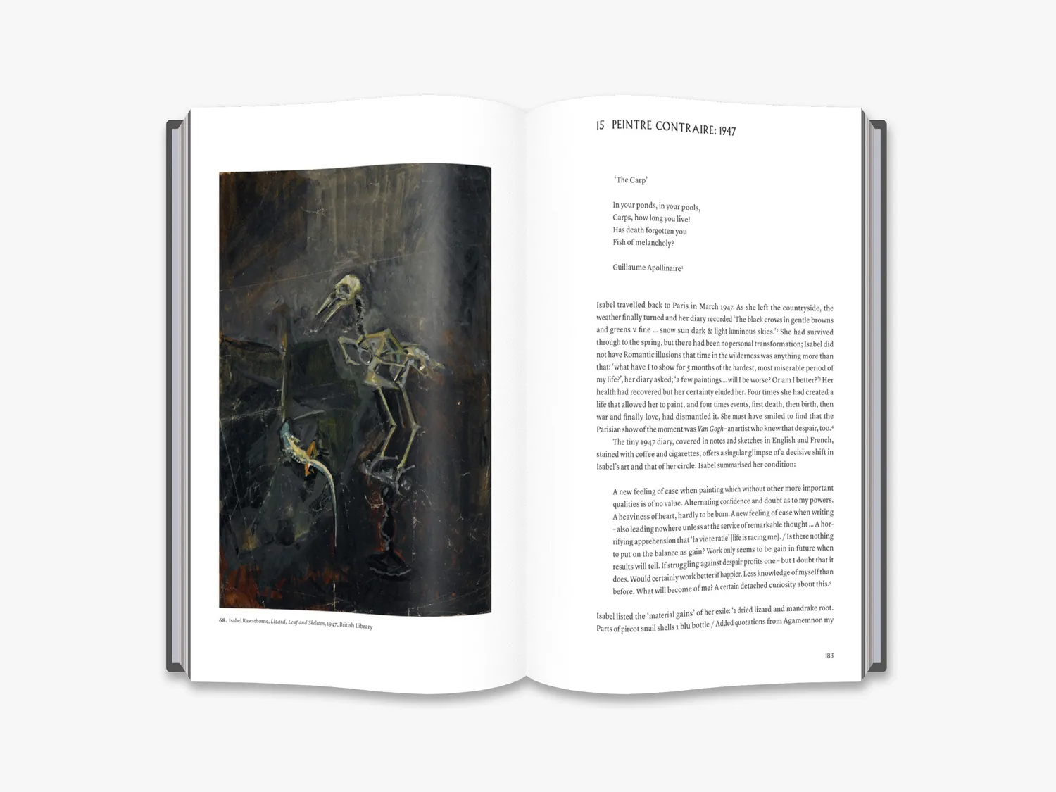 Thames & Hudson Out of the Cage: The Art of Isabel Rawsthorne bog