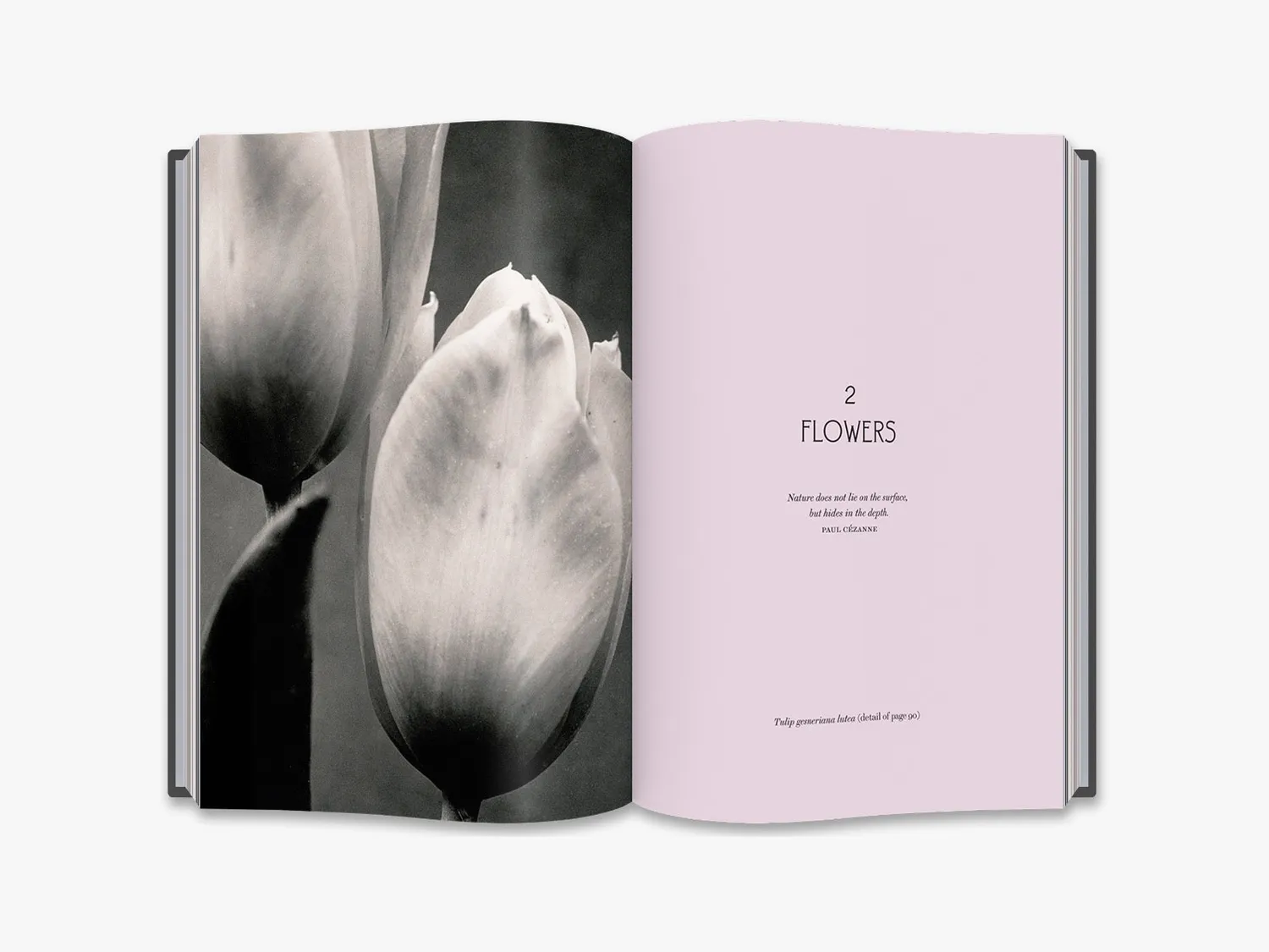 Thames & Hudson Charles Jones fotobog planter