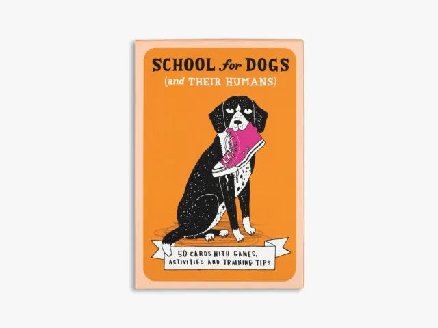 Thames & Hudson School For Dogs kortæske – træning