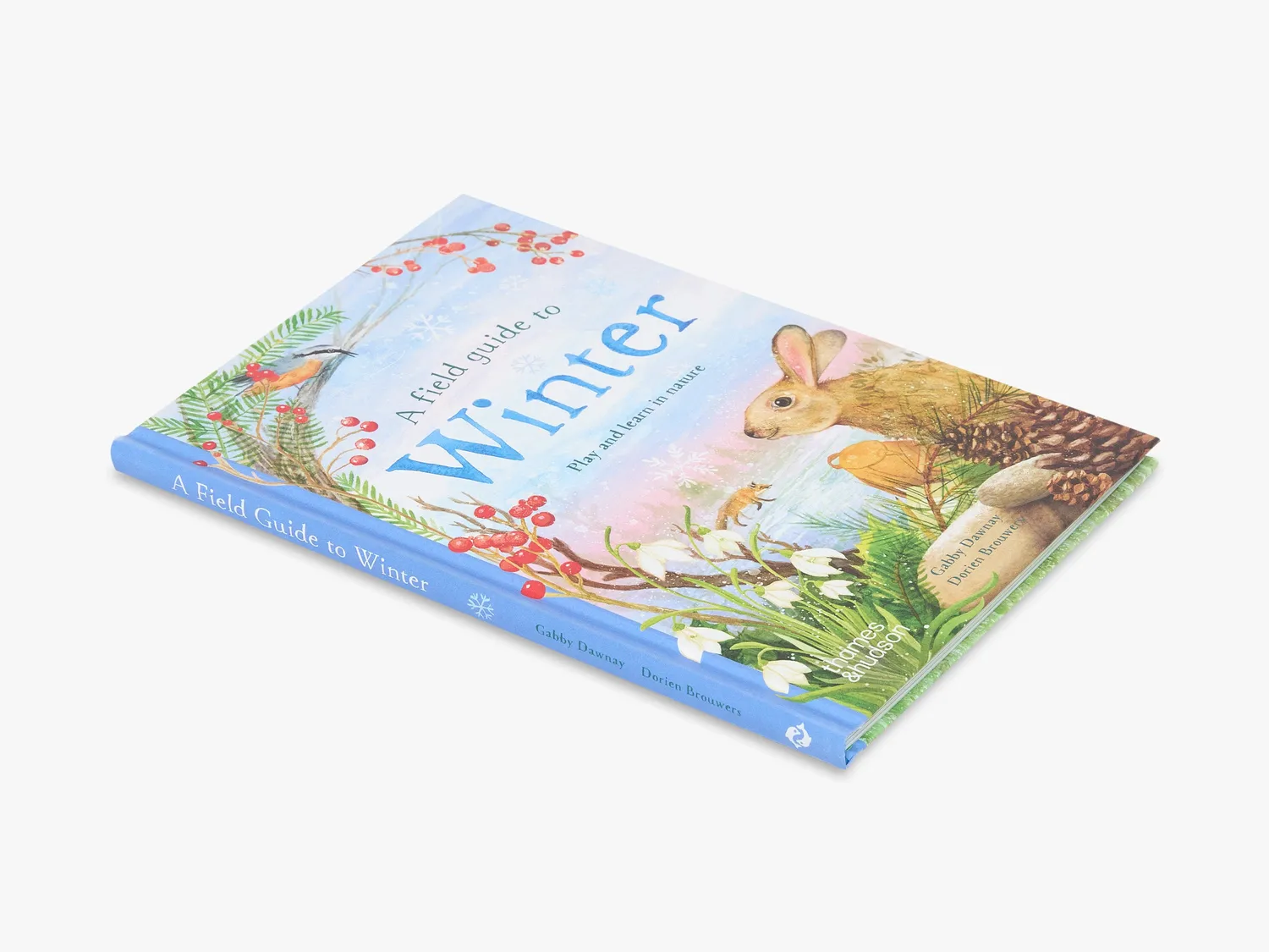 Thames & Hudson A Field Guide to Winter børnebog natur