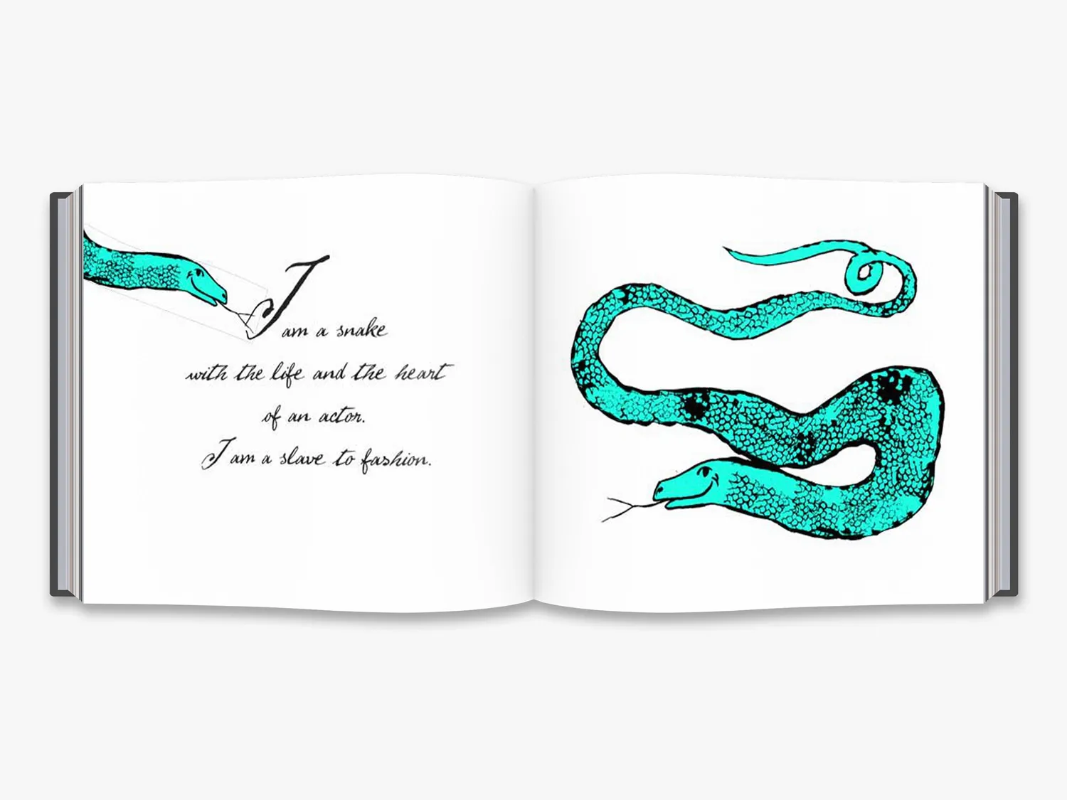Thames & Hudson The Autobiography of a Snake gavebog