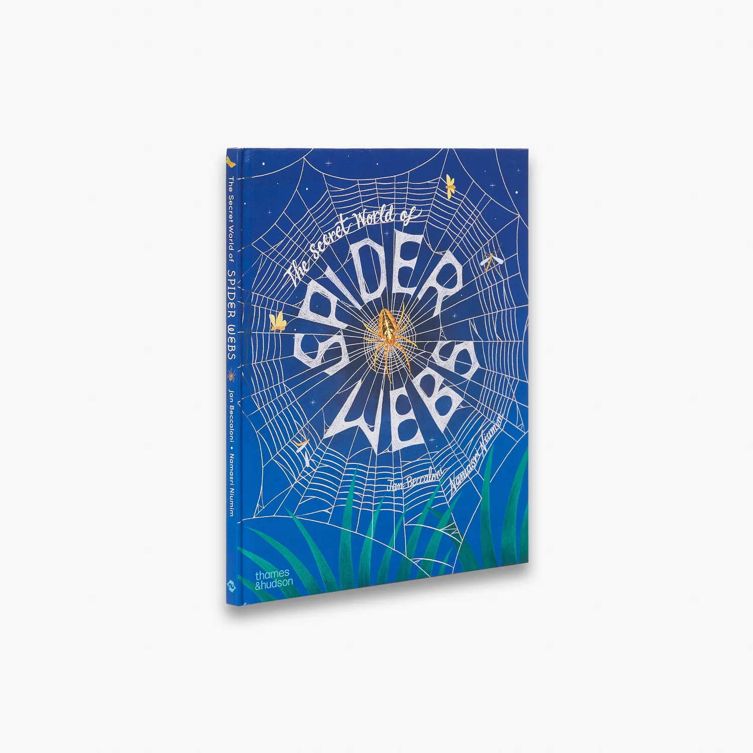Thames & Hudson Secret World of Spider Webs fagbog edderkop