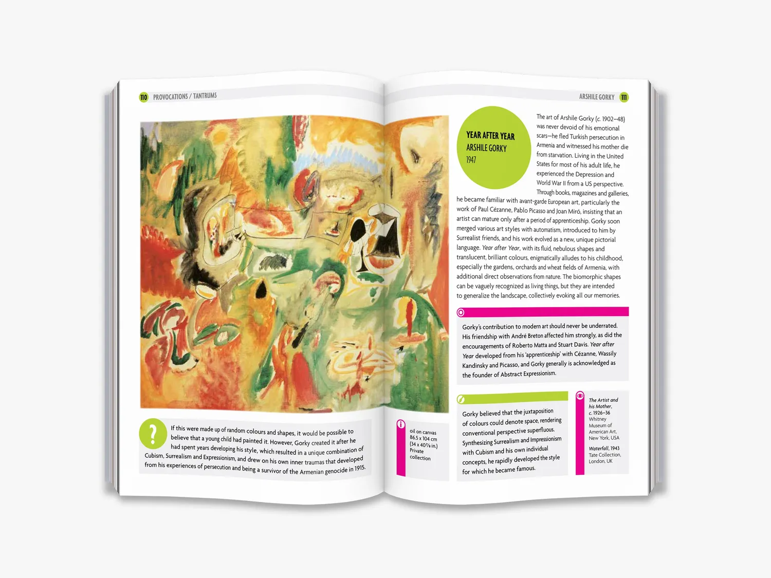 Thames & Hudson Why Your Five Year Old bog moderne kunst