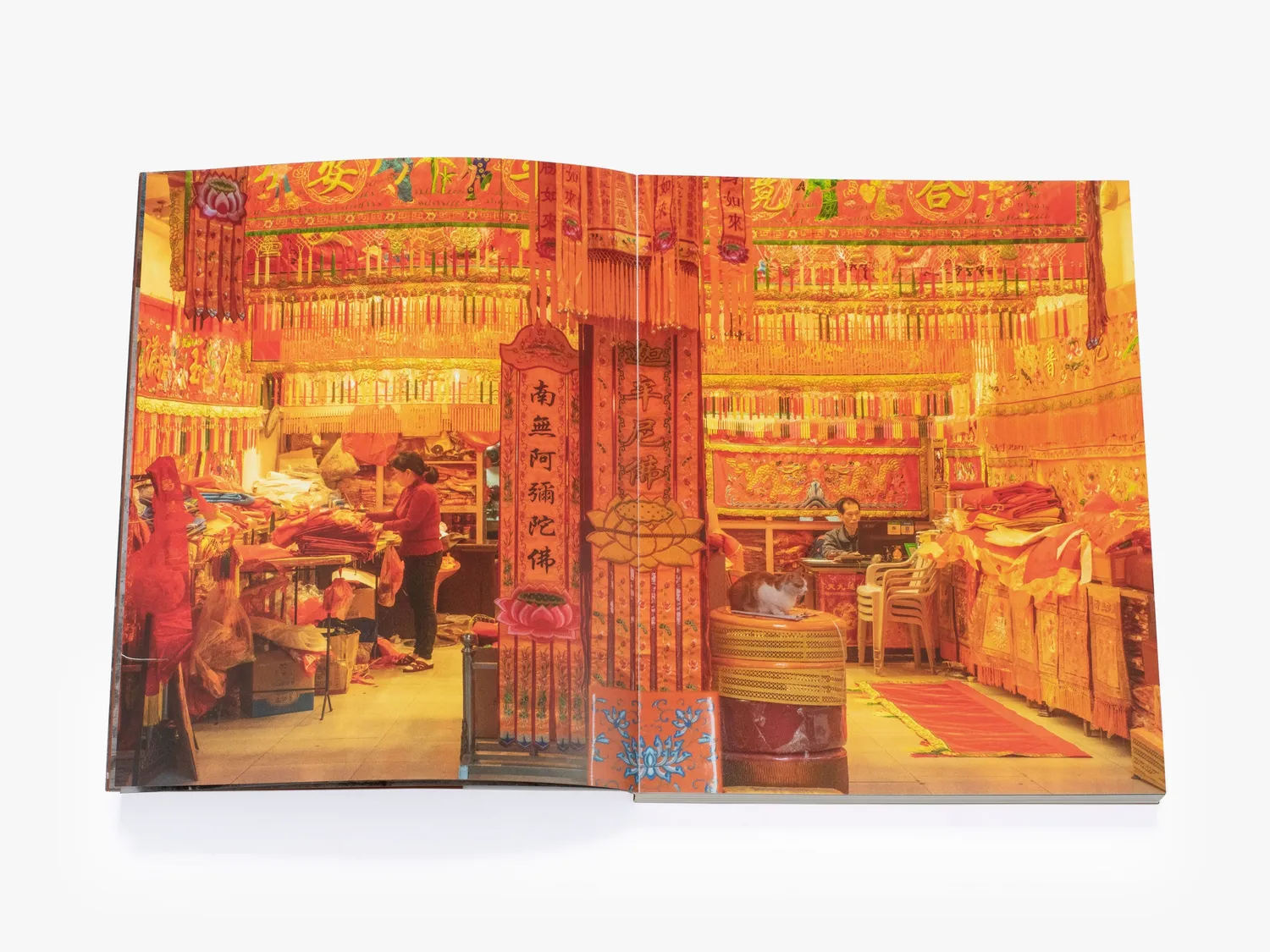 Thames & Hudson Shop Cats of China fotobog katte