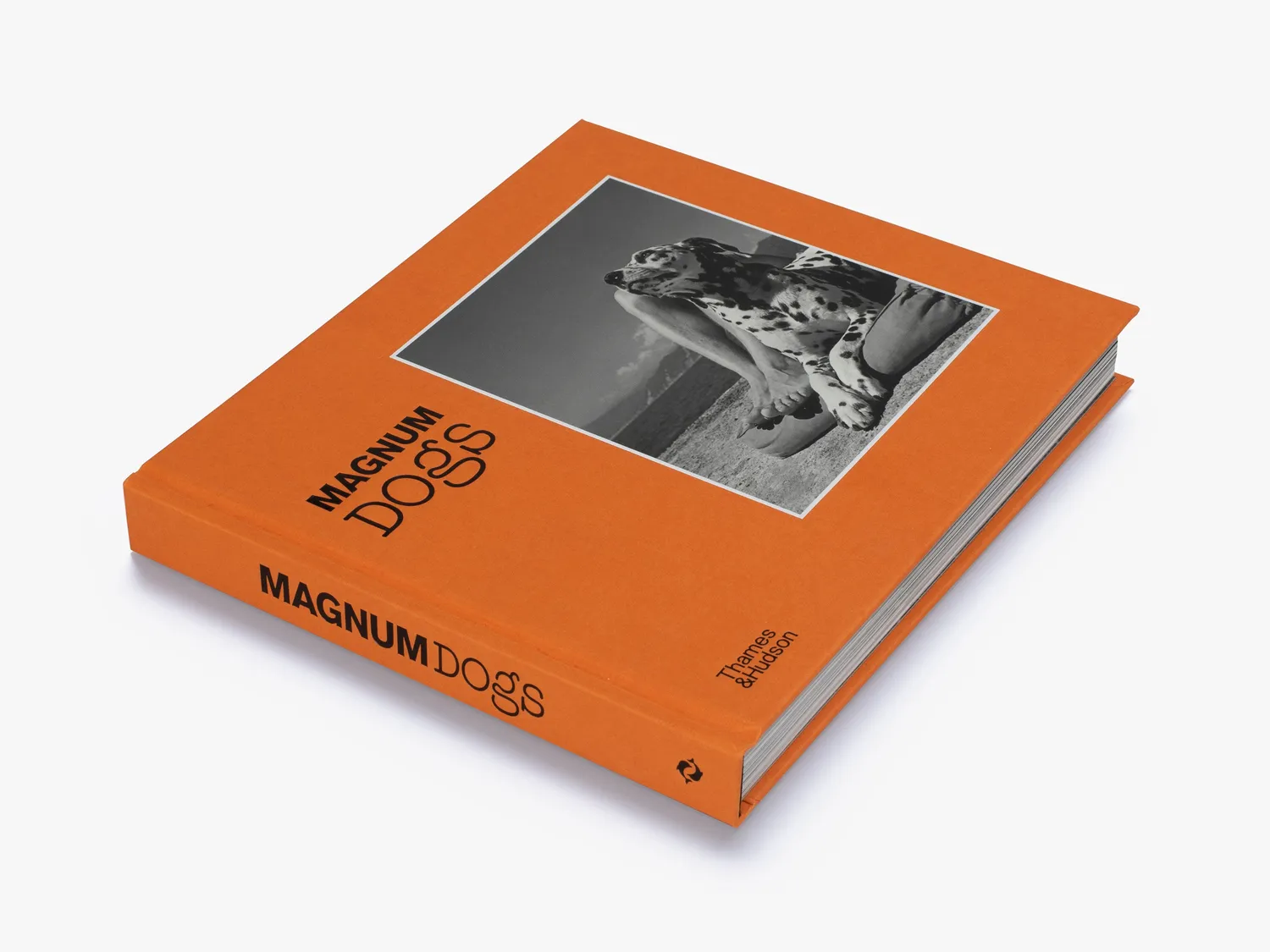 Thames & Hudson Magnum Dogs fotobog hundebilleder