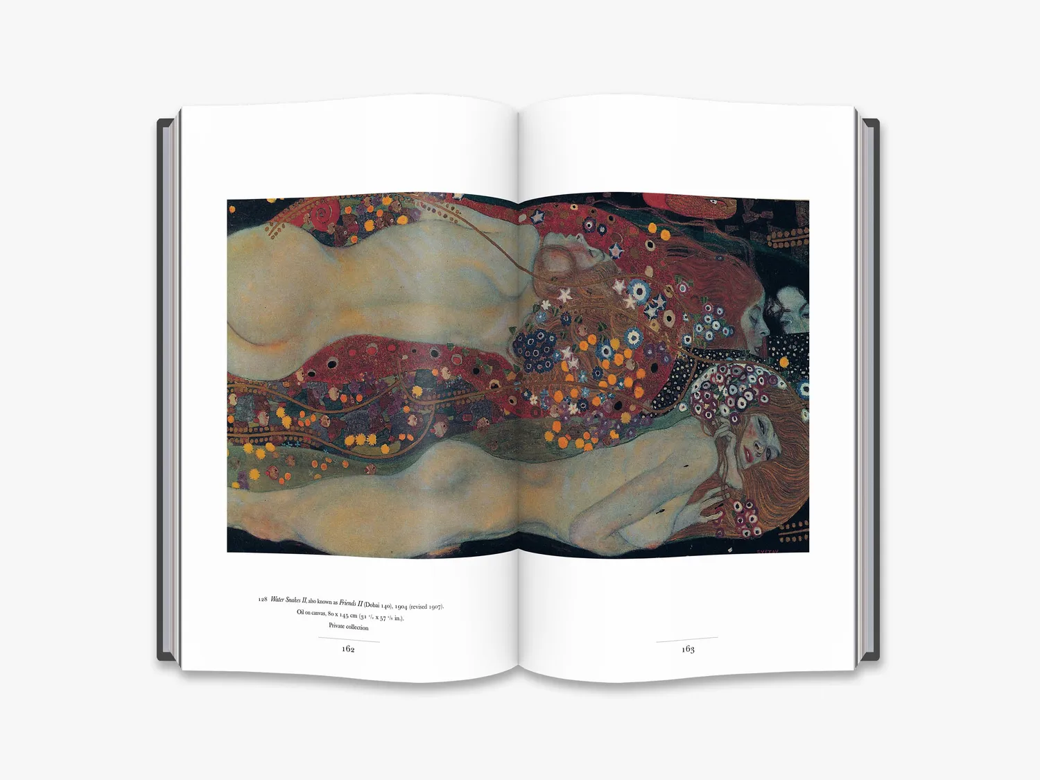Thames & Hudson Gustav Klimt fagbog om tegninger
