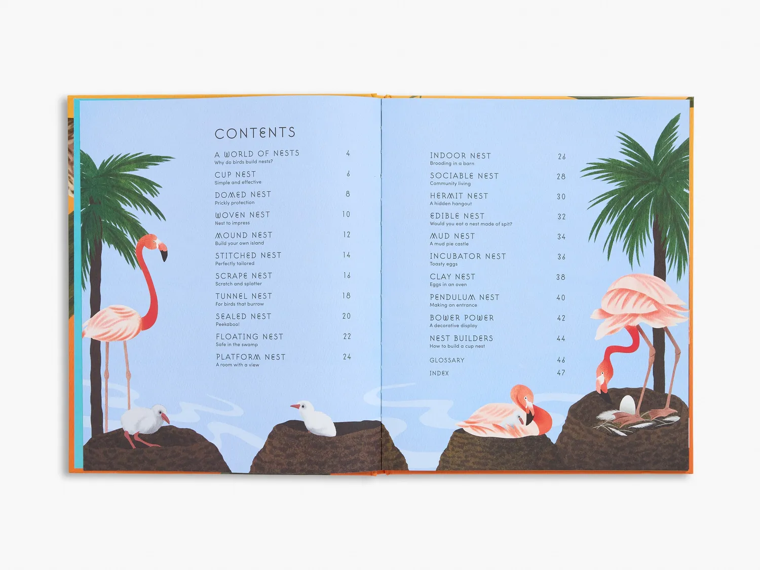 Thames & Hudson Secret World Bird Nests børnebog illustreret