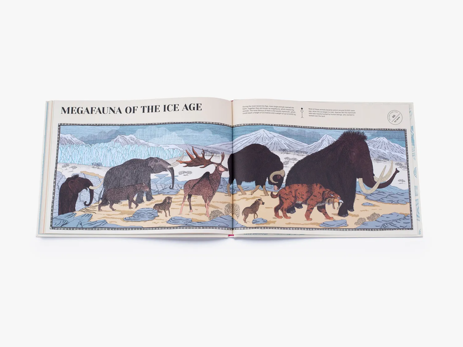 Thames & Hudson How Life on Earth Began børnebog