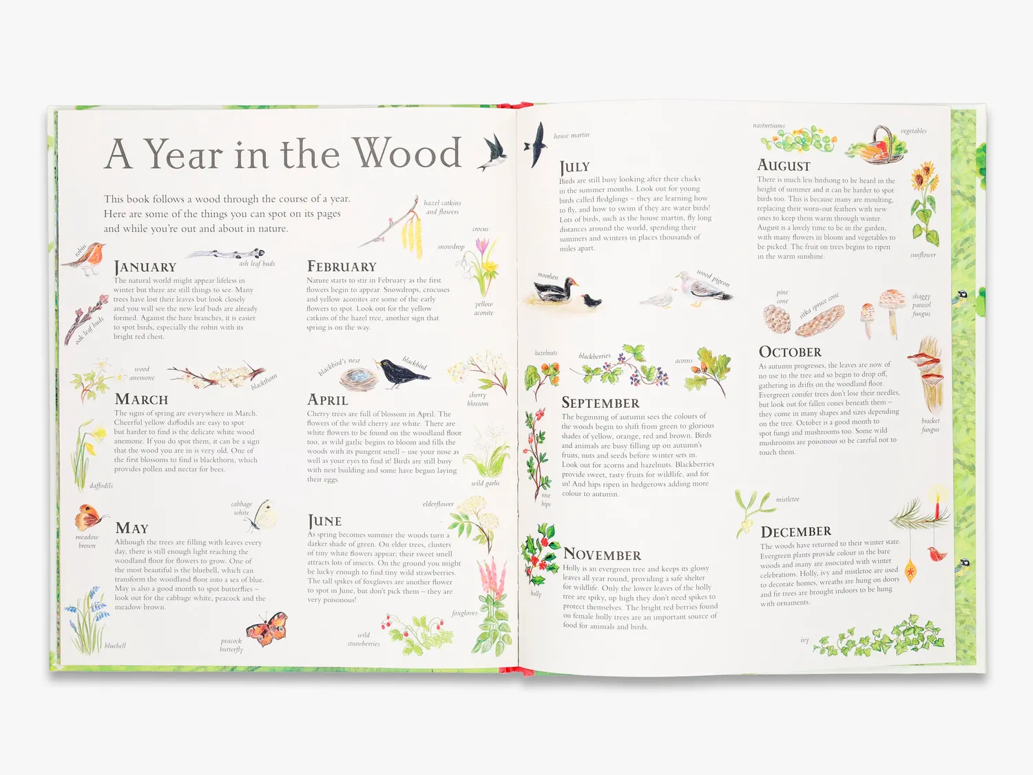 Thames & Hudson Mouse's Wood billedbog – årstider på rim