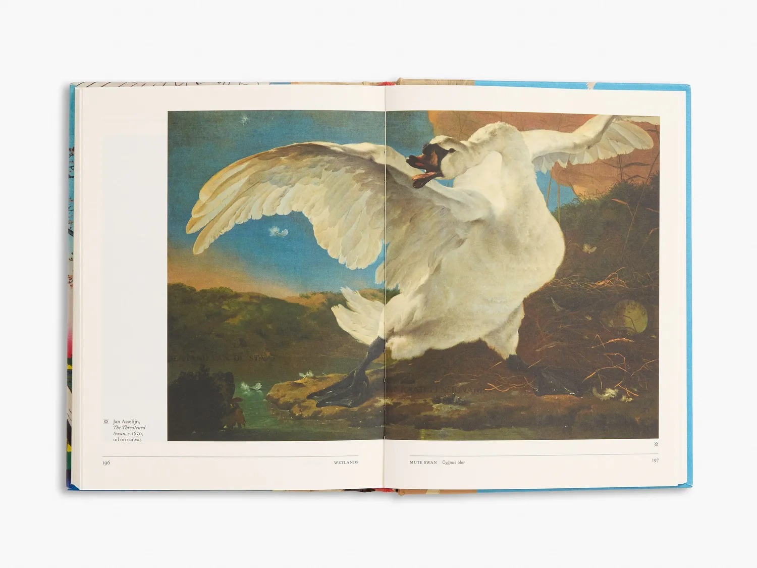 Thames & Hudson The Secret Language of Birds bog – symbolik