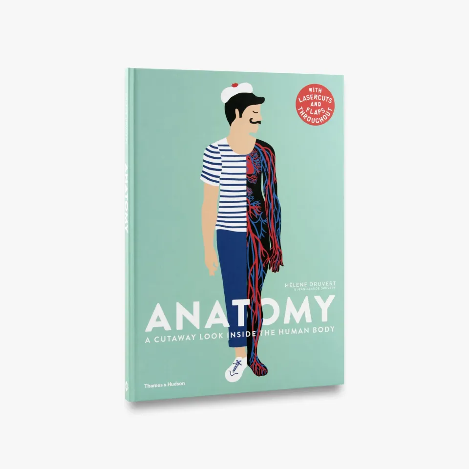 Thames & Hudson Anatomy fagbog illustreret
