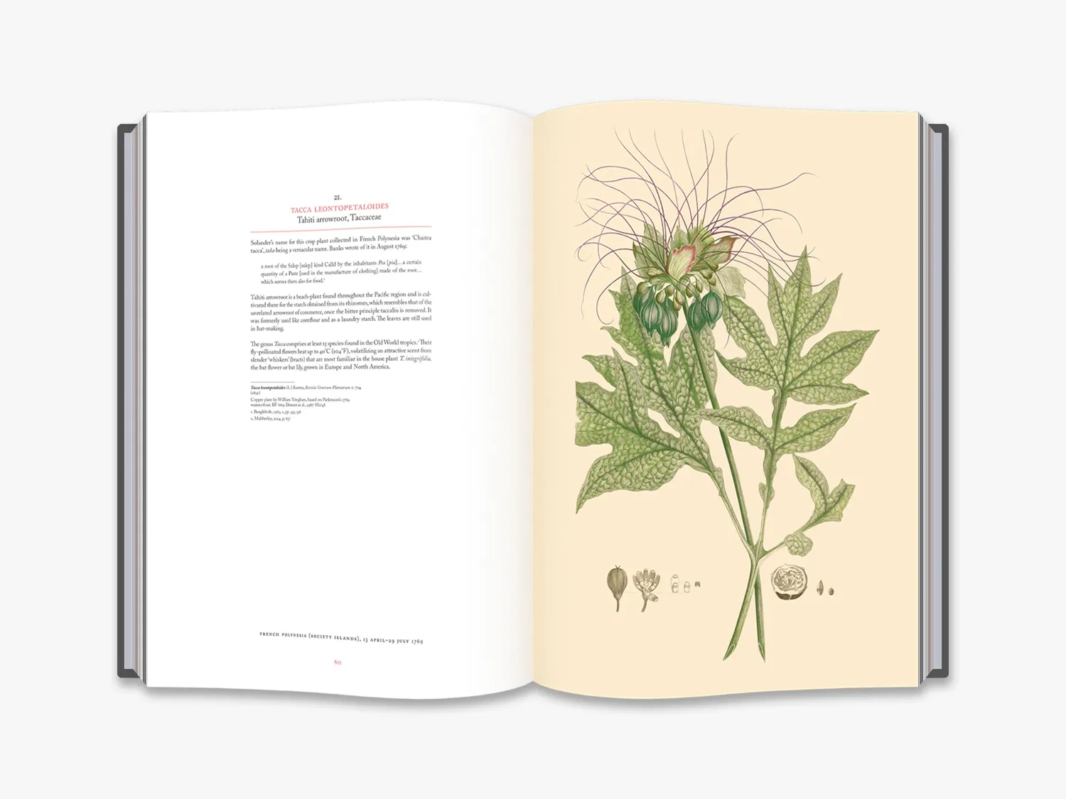 Thames & Hudson Joseph Banks Florilegium botanikbog illustreret