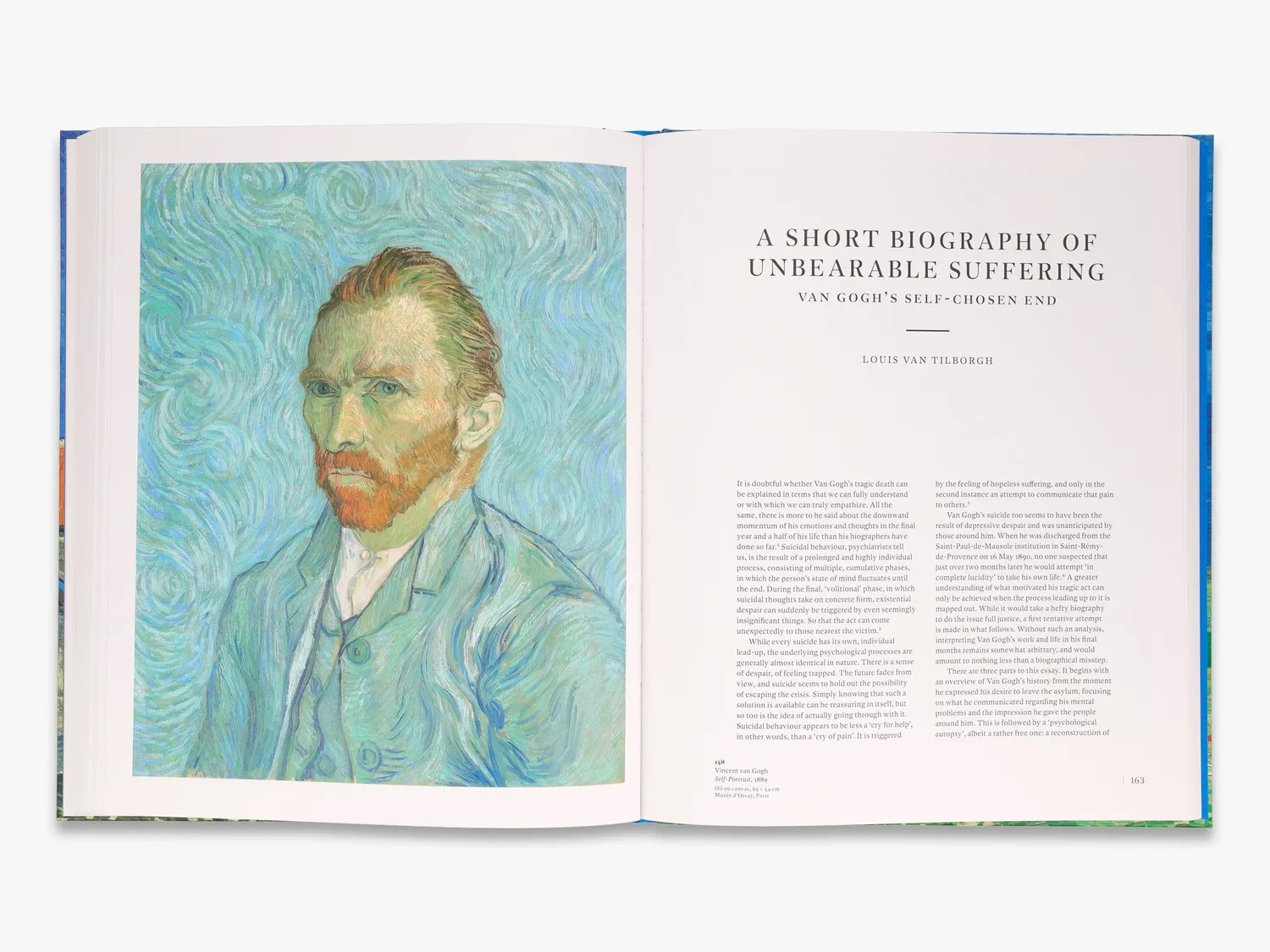 Thames & Hudson Van Gogh in Auvers-sur-Oise bog