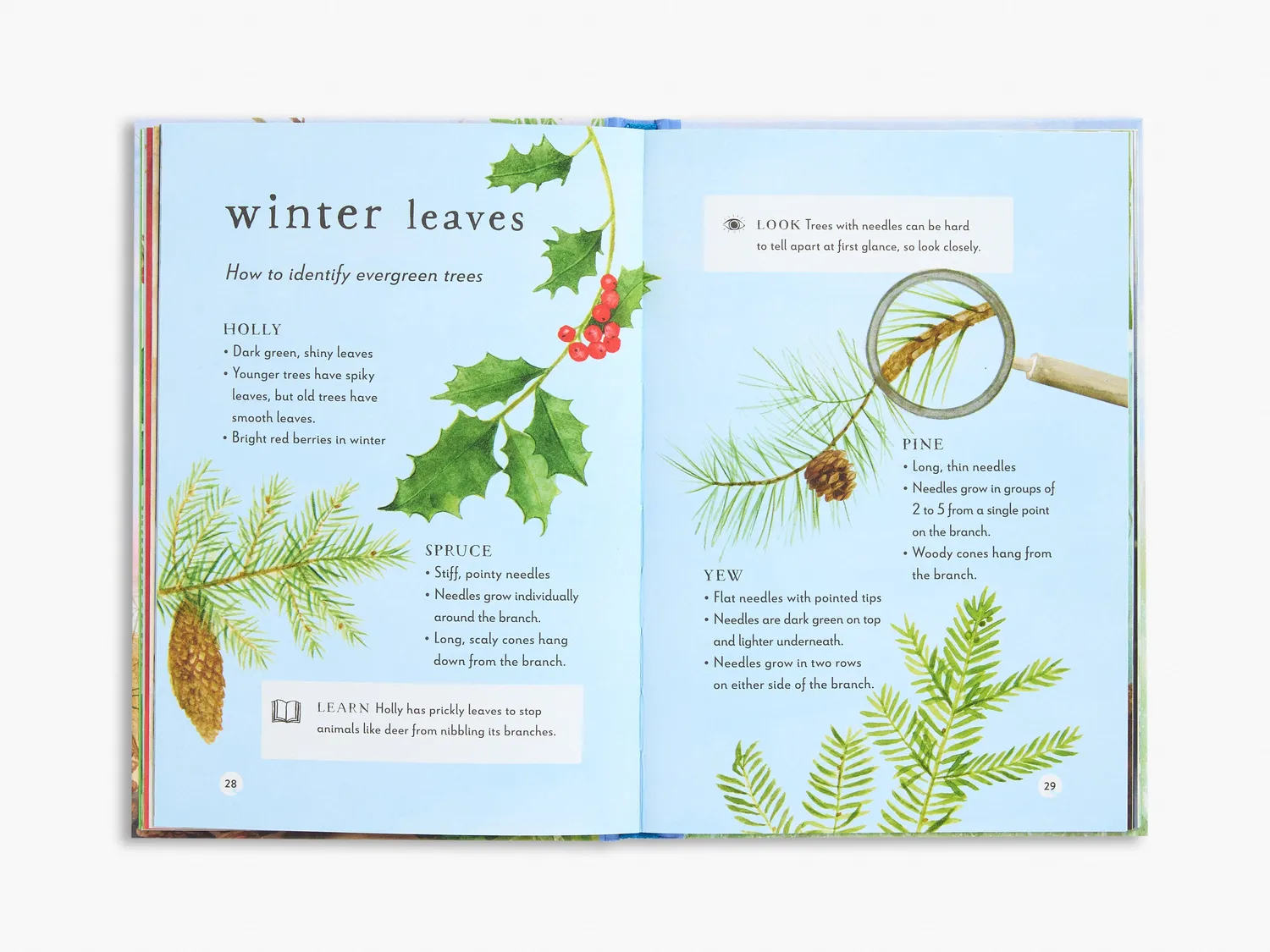 Thames & Hudson A Field Guide to Winter børnebog natur