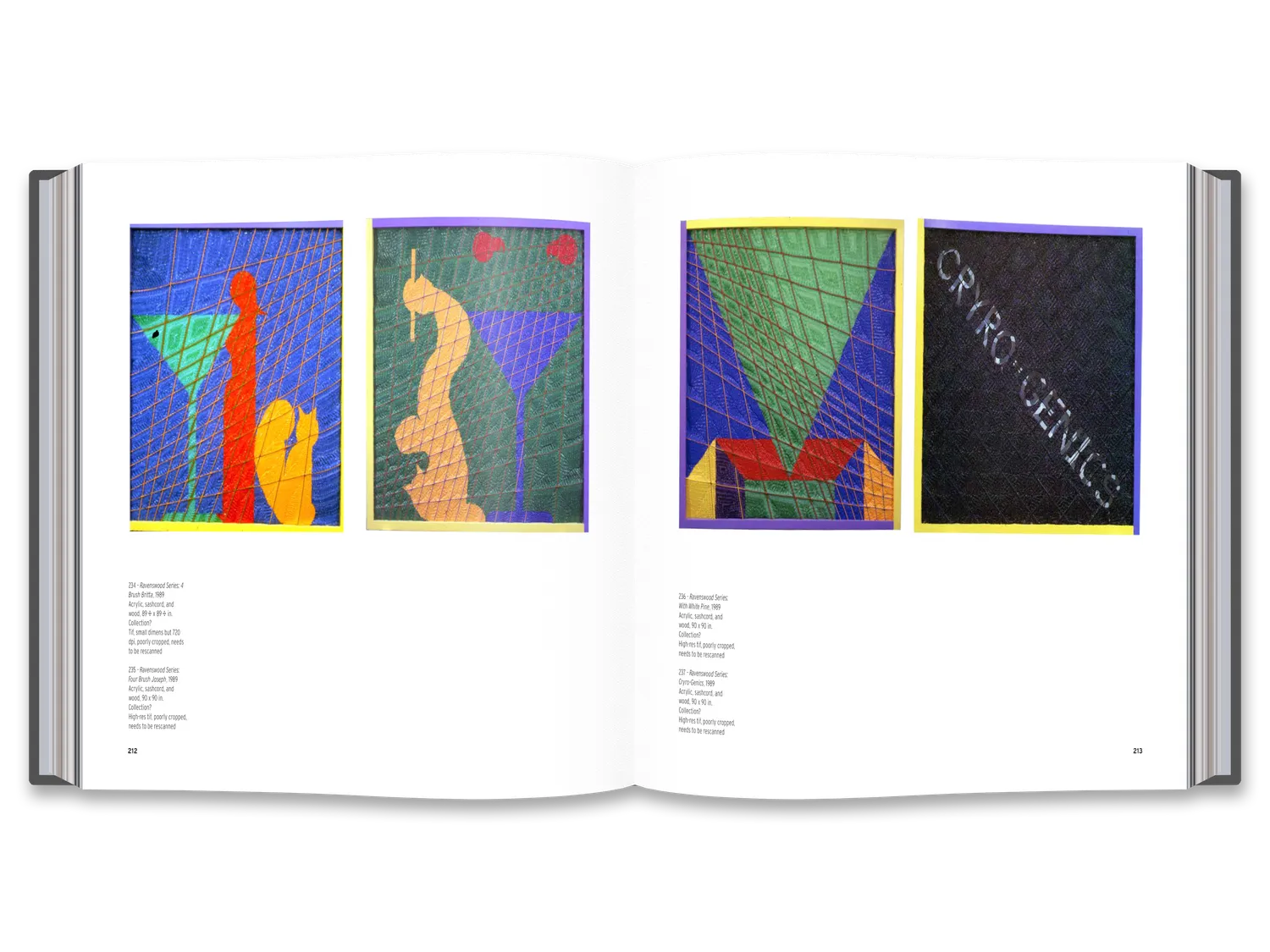 Thames & Hudson Joe Zucker bog monografi
