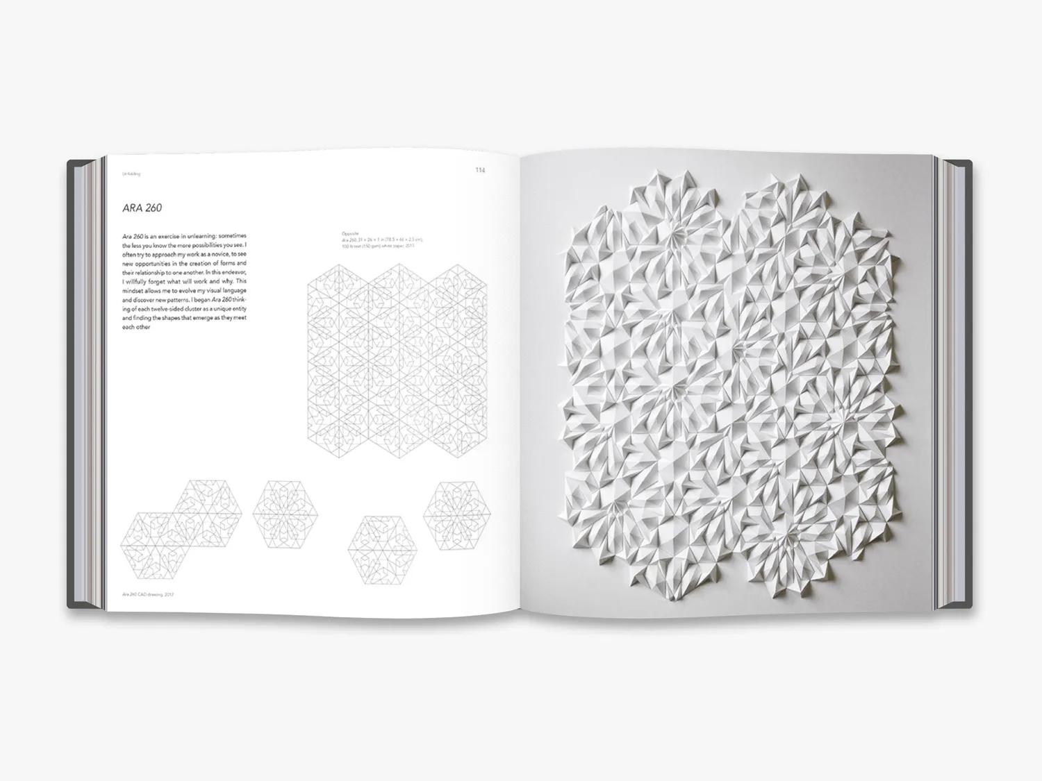 Thames & Hudson Unfolding Shlian papirkunst bog