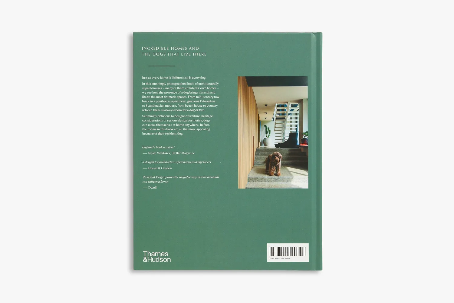 Thames & Hudson Resident Dog bog om huse og hunde