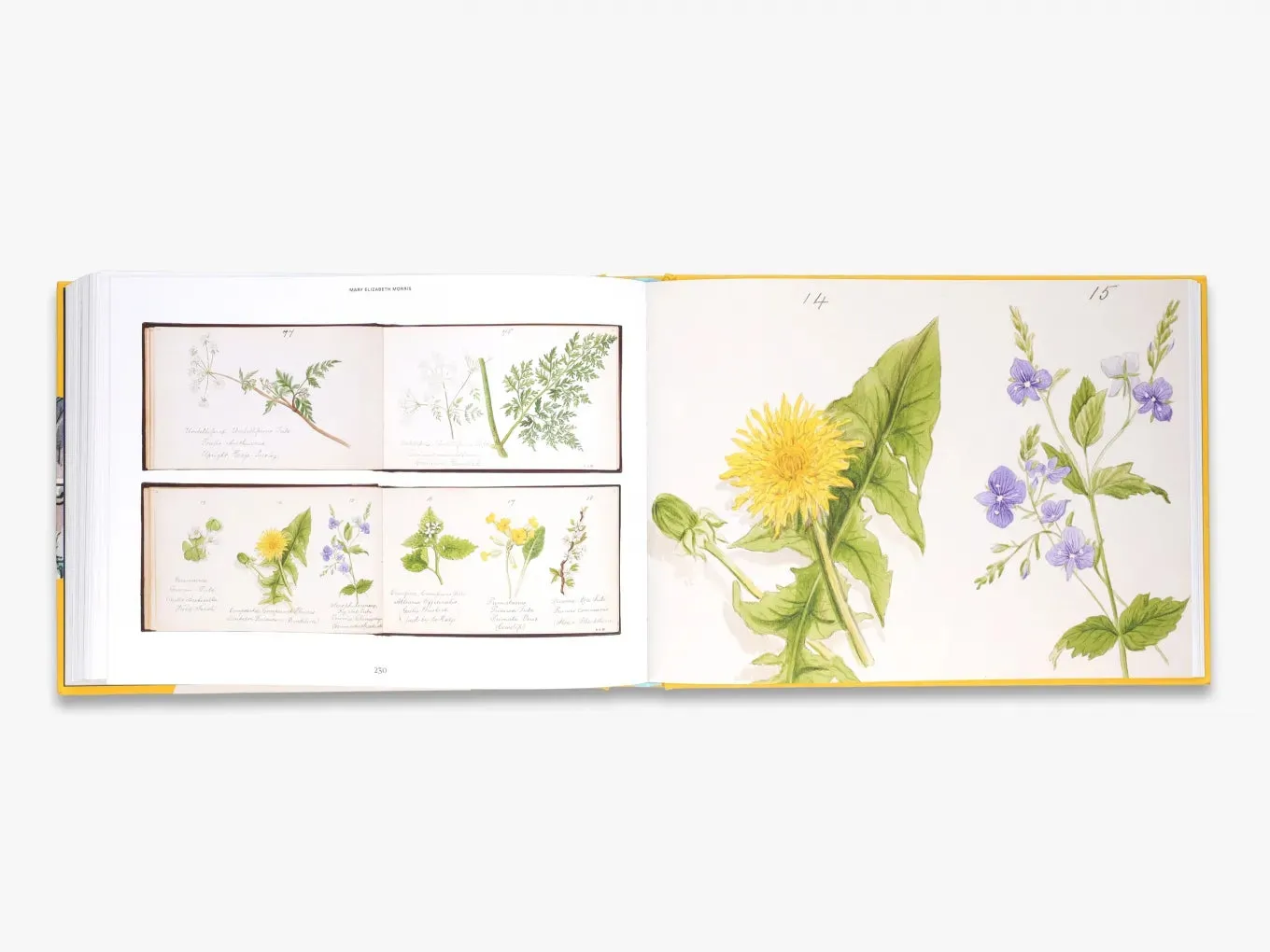 Thames & Hudson The Artist's Sketchbook bog V&A skitser