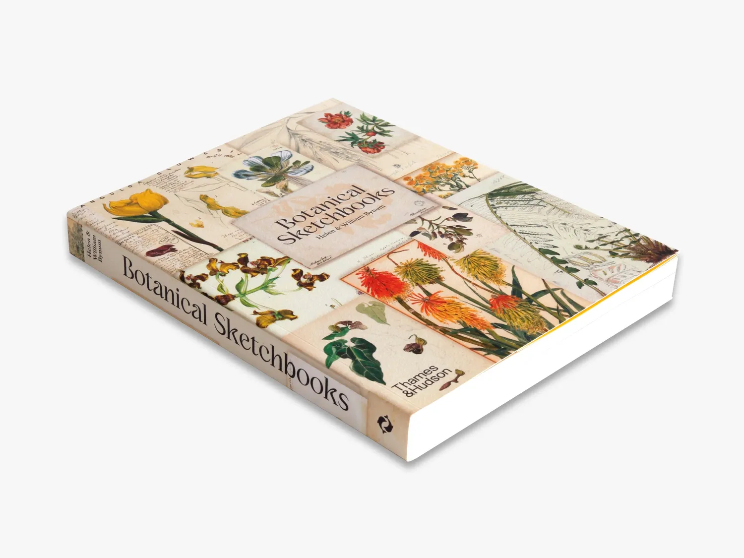 Thames & Hudson Botanical Sketchbooks fagbog illustreret