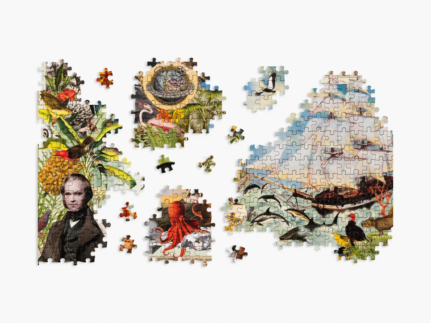 Thames & Hudson Charles Darwin's Voyage puslespil 1000 brikker