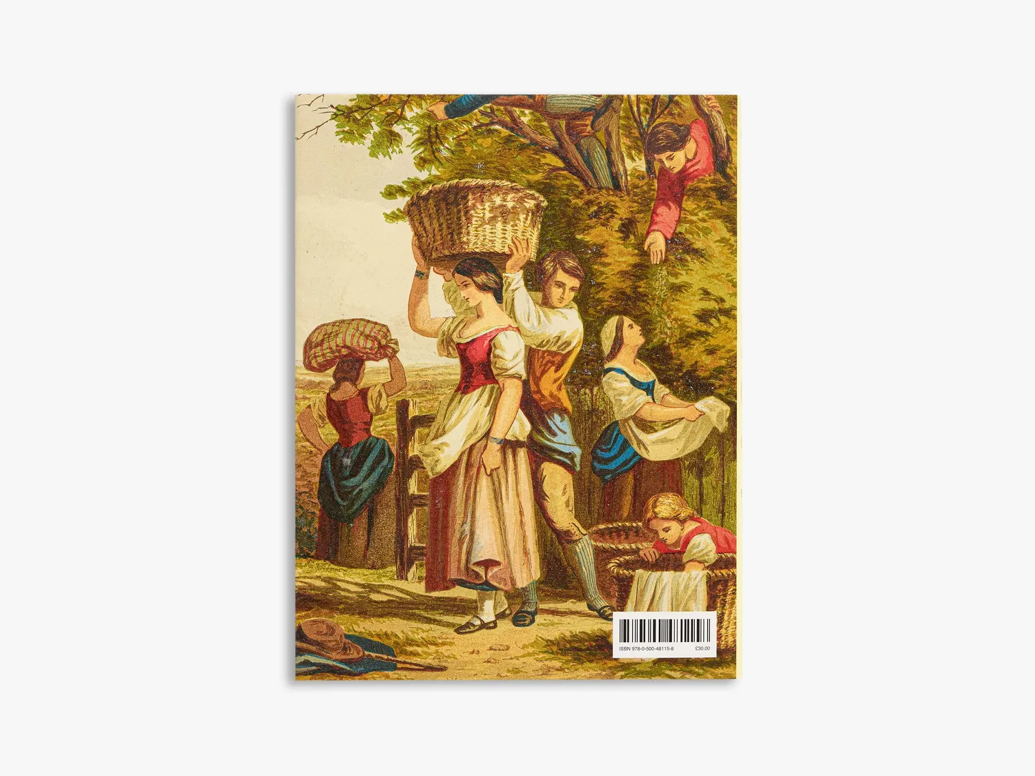 Thames & Hudson Repast bog illustreret madhistorie