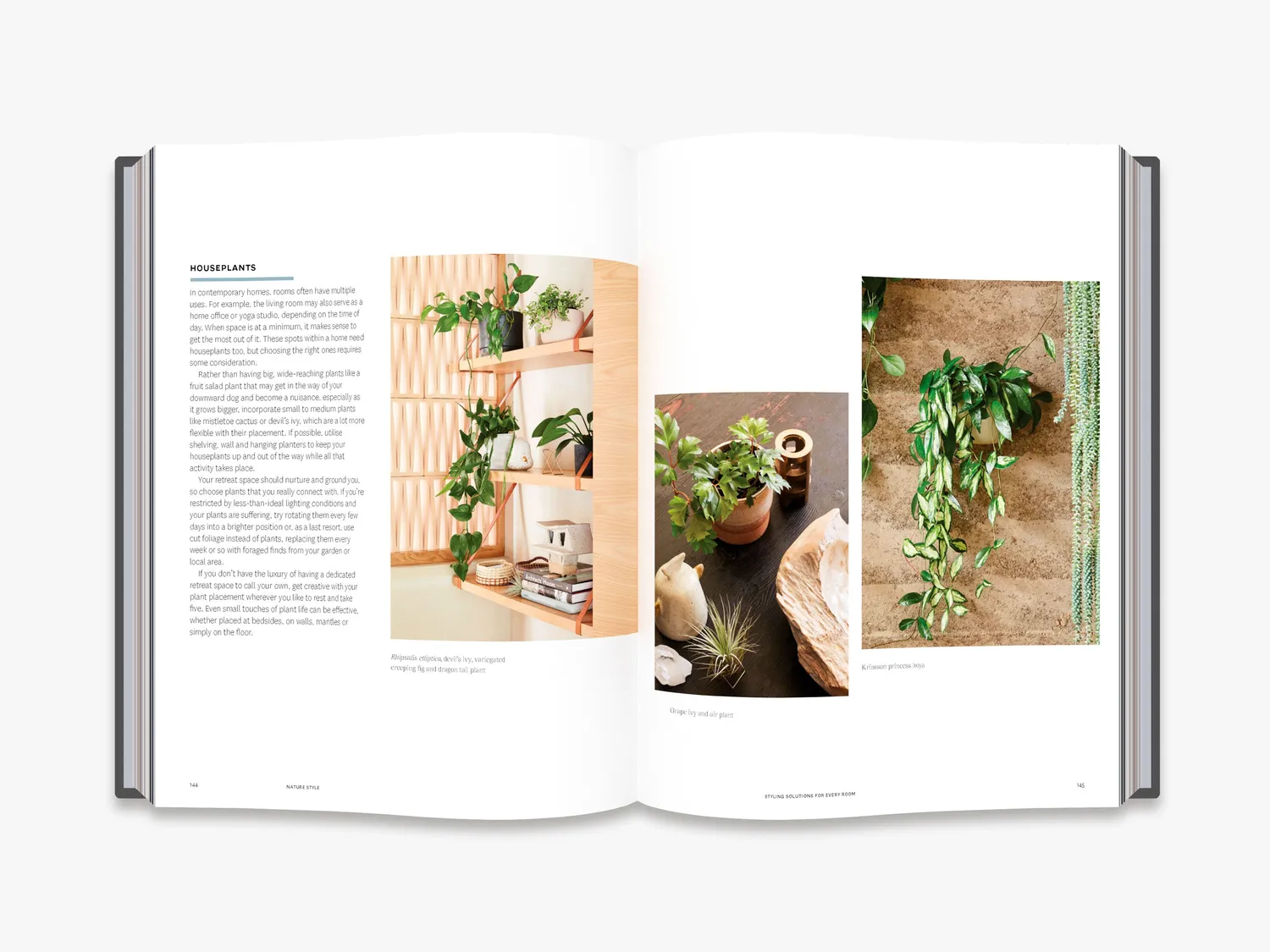 Thames & Hudson Nature Style indretningsbog grønne hjem