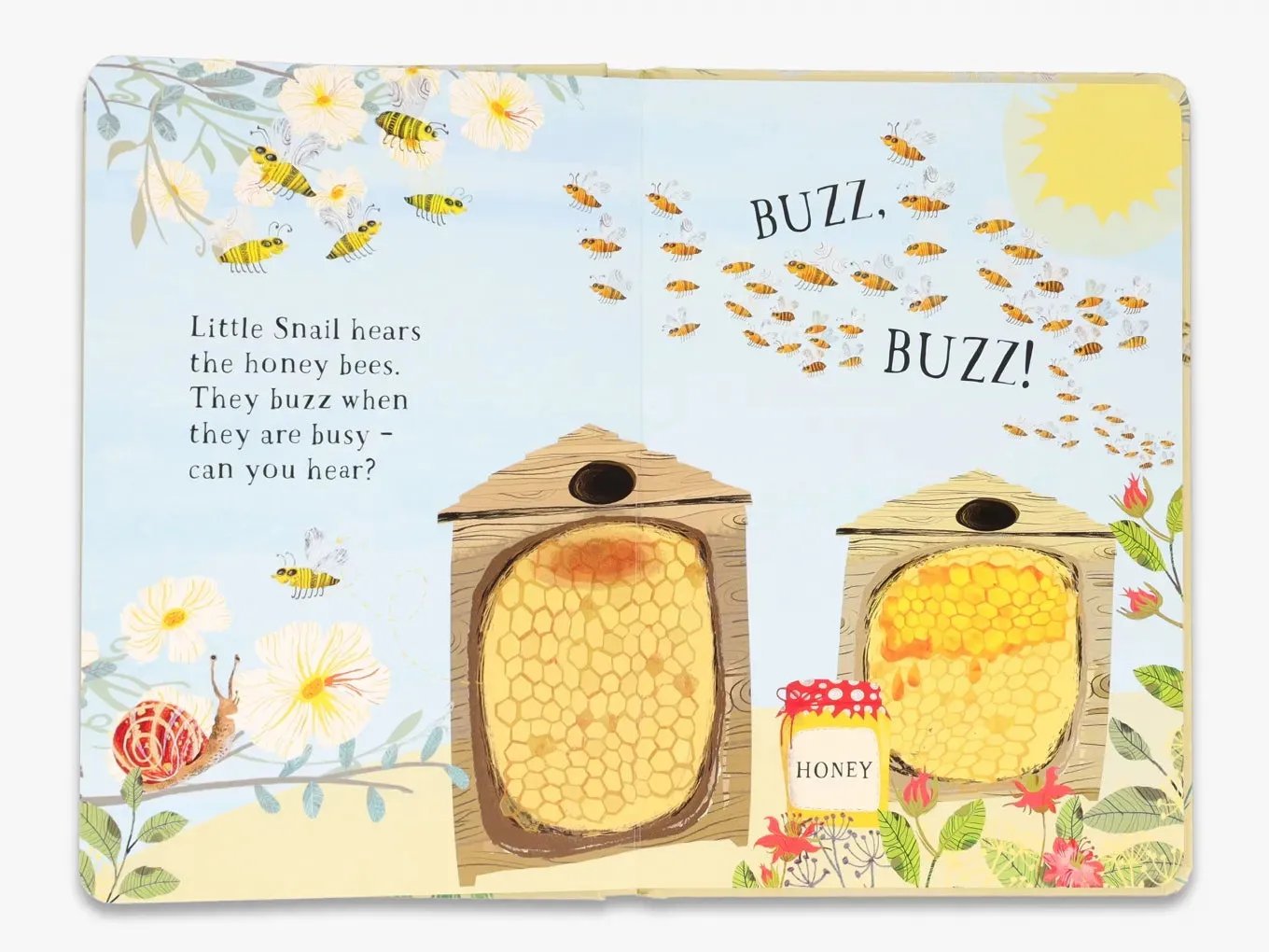 Thames & Hudson Little Snail's Book of Bugs papbog insekter