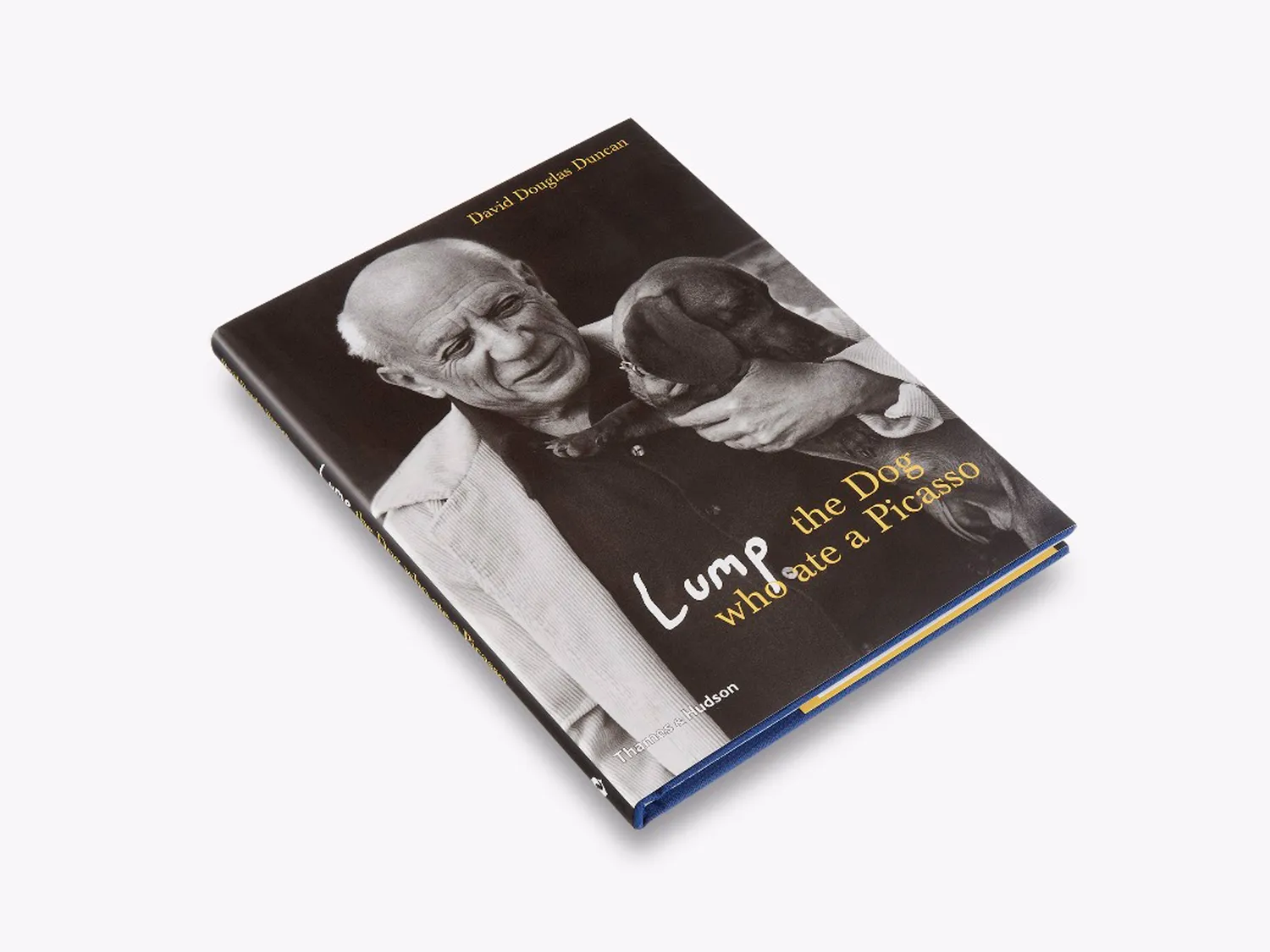 Thames & Hudson Lump kunstbog Picasso gravhund