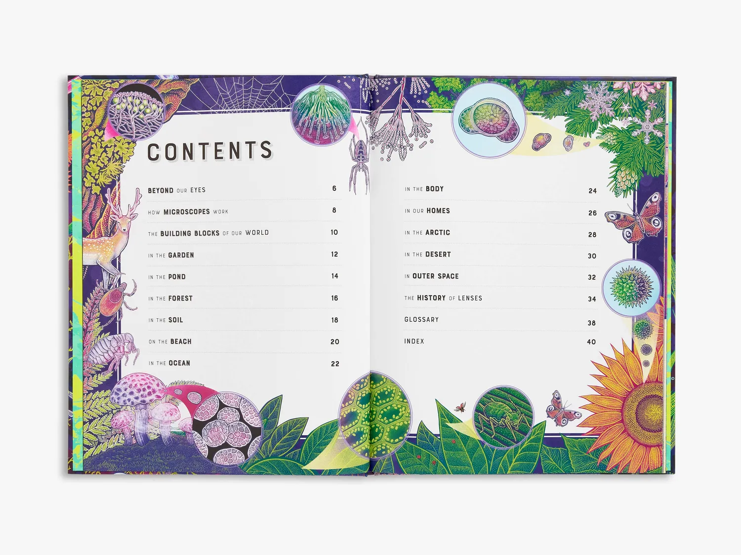 Thames & Hudson Wild Wonders Micro børnebog om mikroliv
