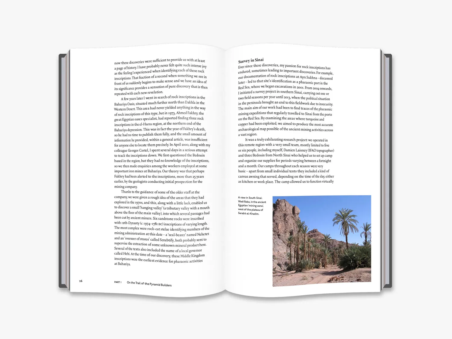 Thames & Hudson The Red Sea Scrolls bog illustreret