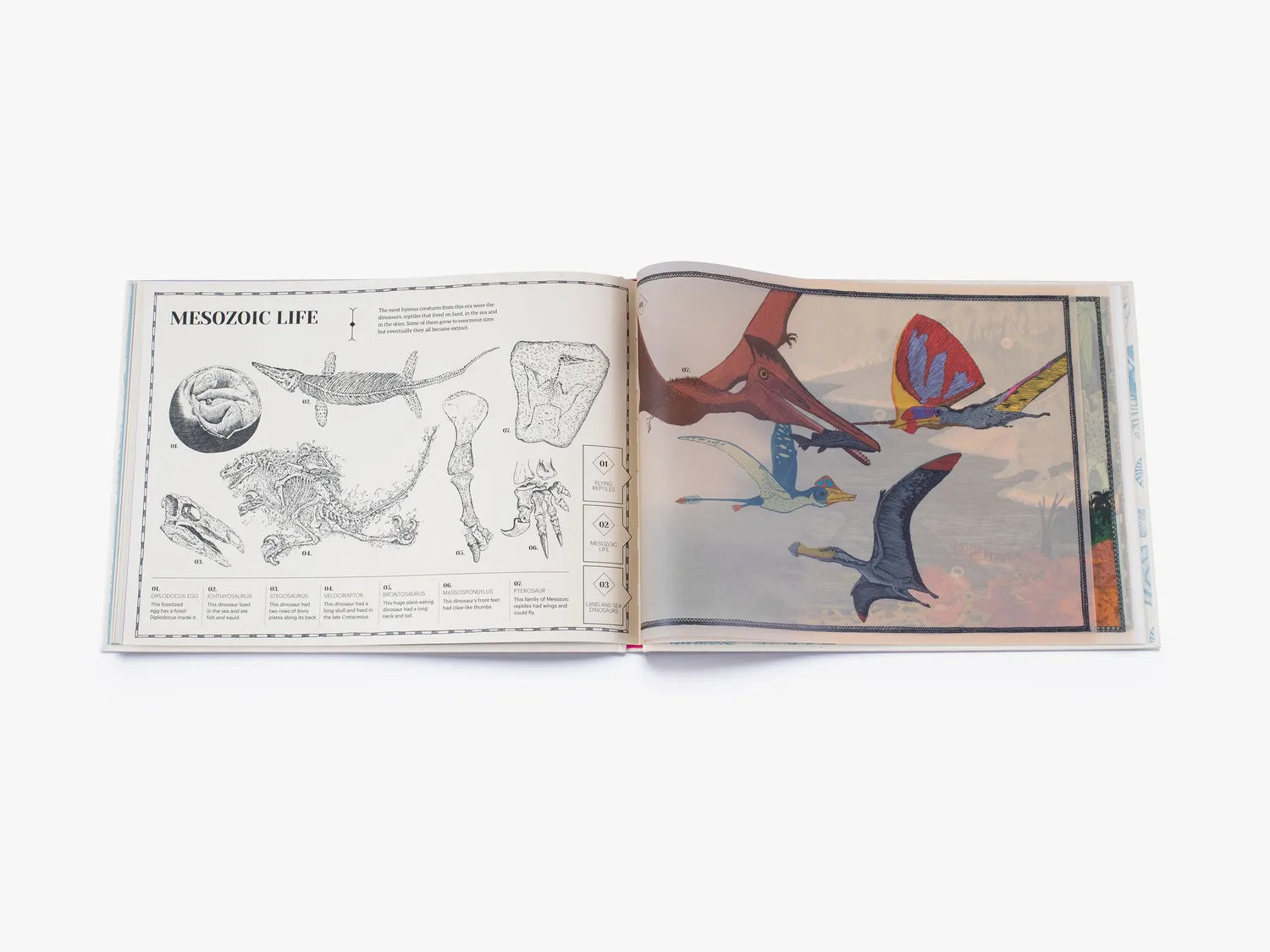 Thames & Hudson How Life on Earth Began børnebog
