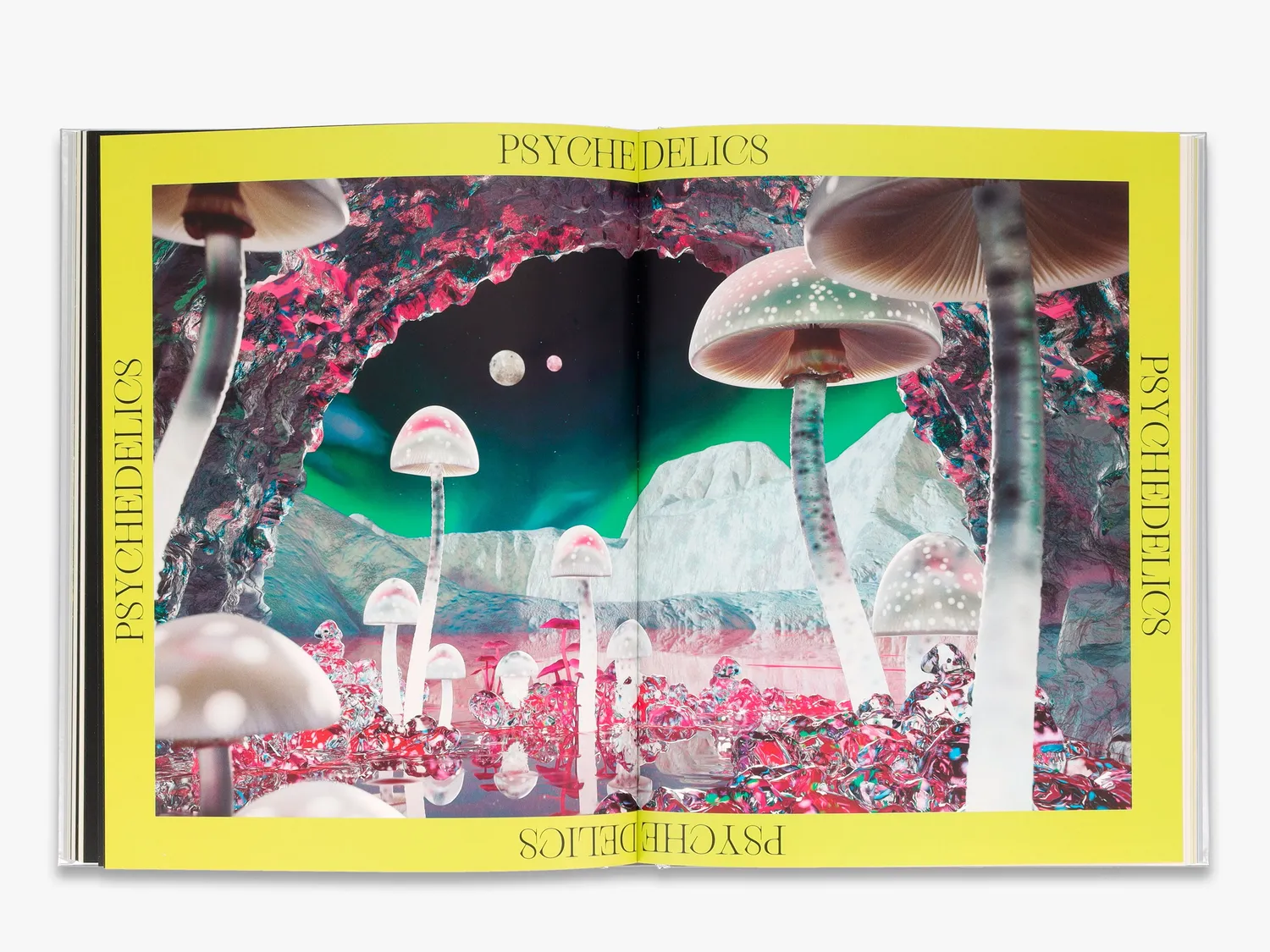 Thames & Hudson The Future is Fungi bog svampe
