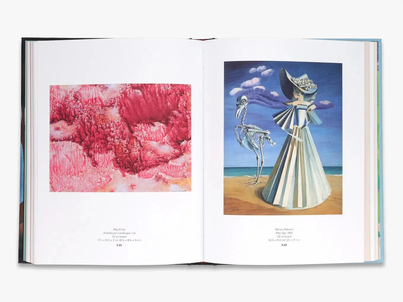 Thames & Hudson Forbidden Territories kunstbog om surrealisme