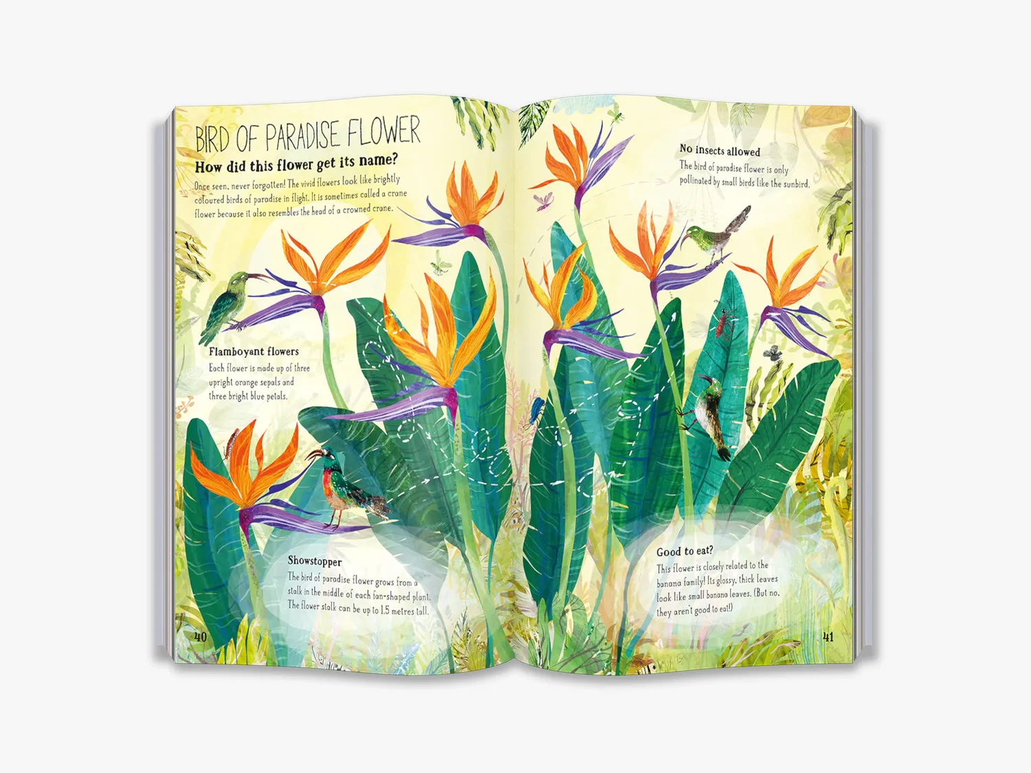 Thames & Hudson The Big Book of Blooms børnebog blomster