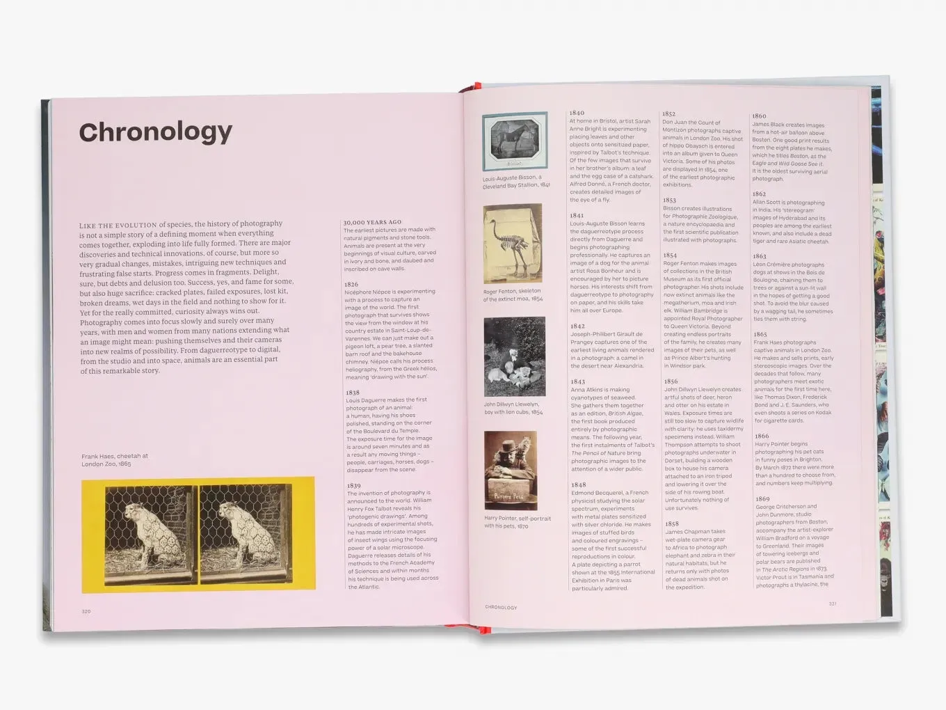 Thames & Hudson Why We Photograph Animals fotobog