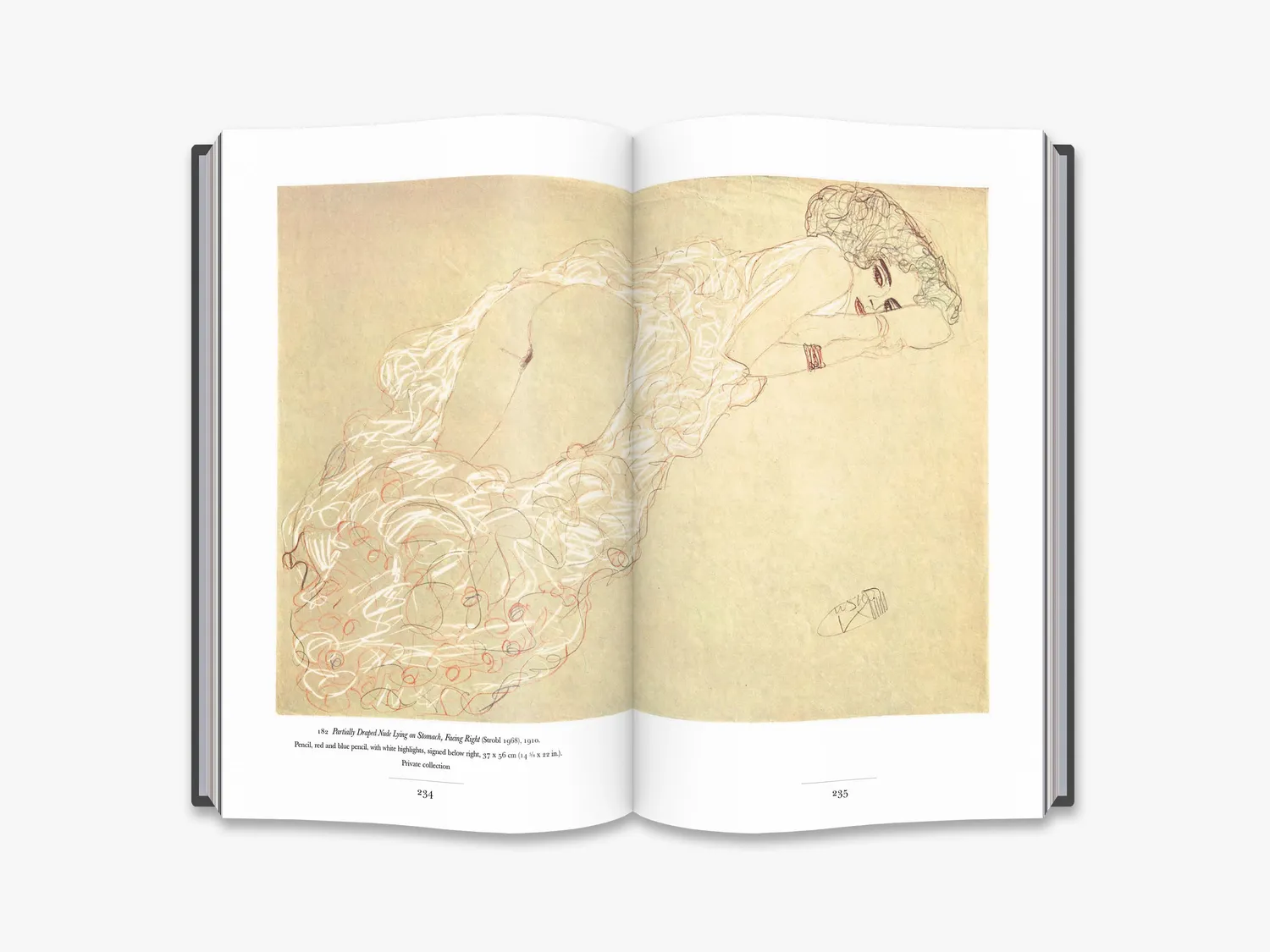 Thames & Hudson Gustav Klimt fagbog om tegninger