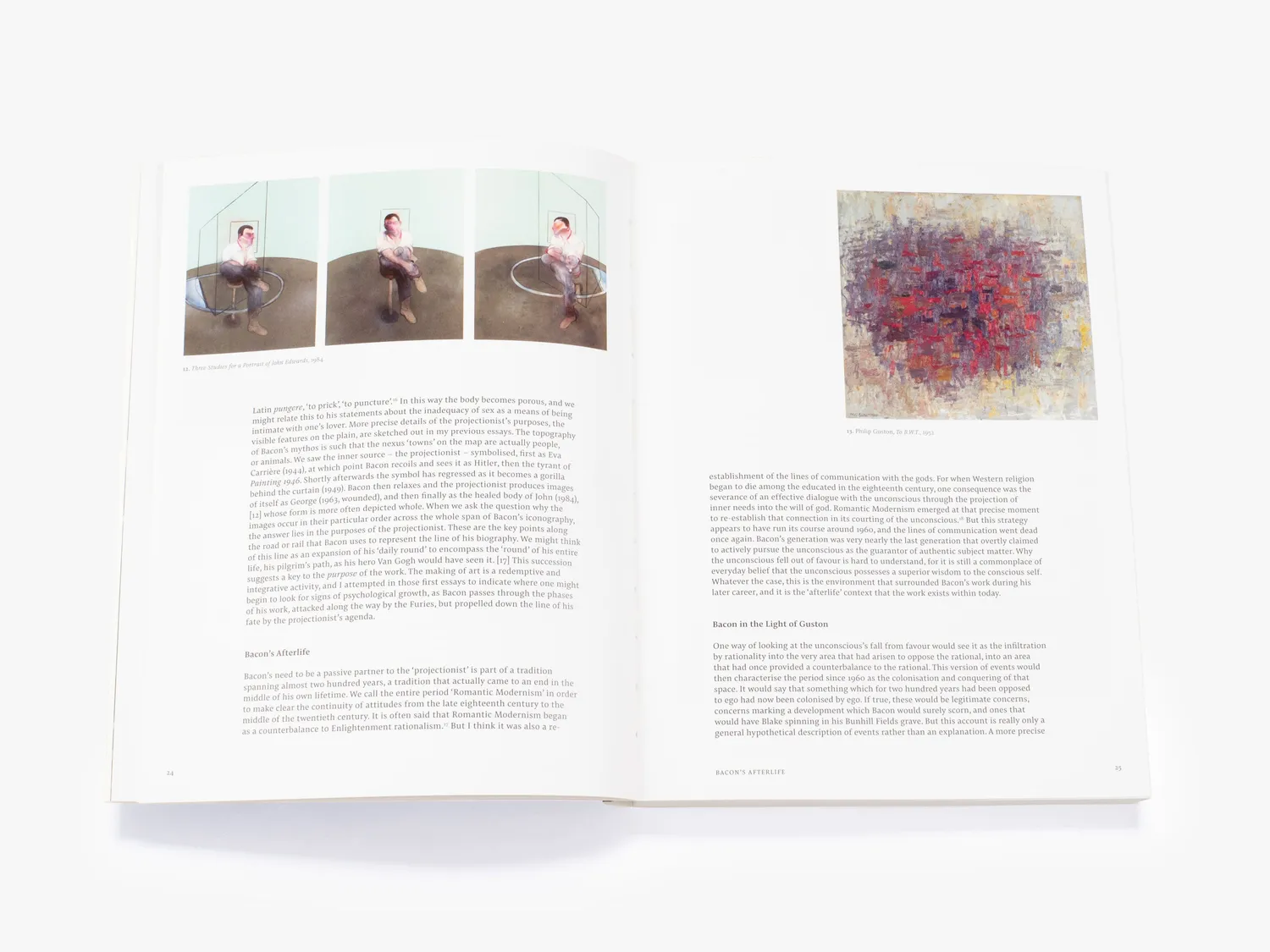 Thames & Hudson Francis Bacon Shadows fagbog Bacon Studies