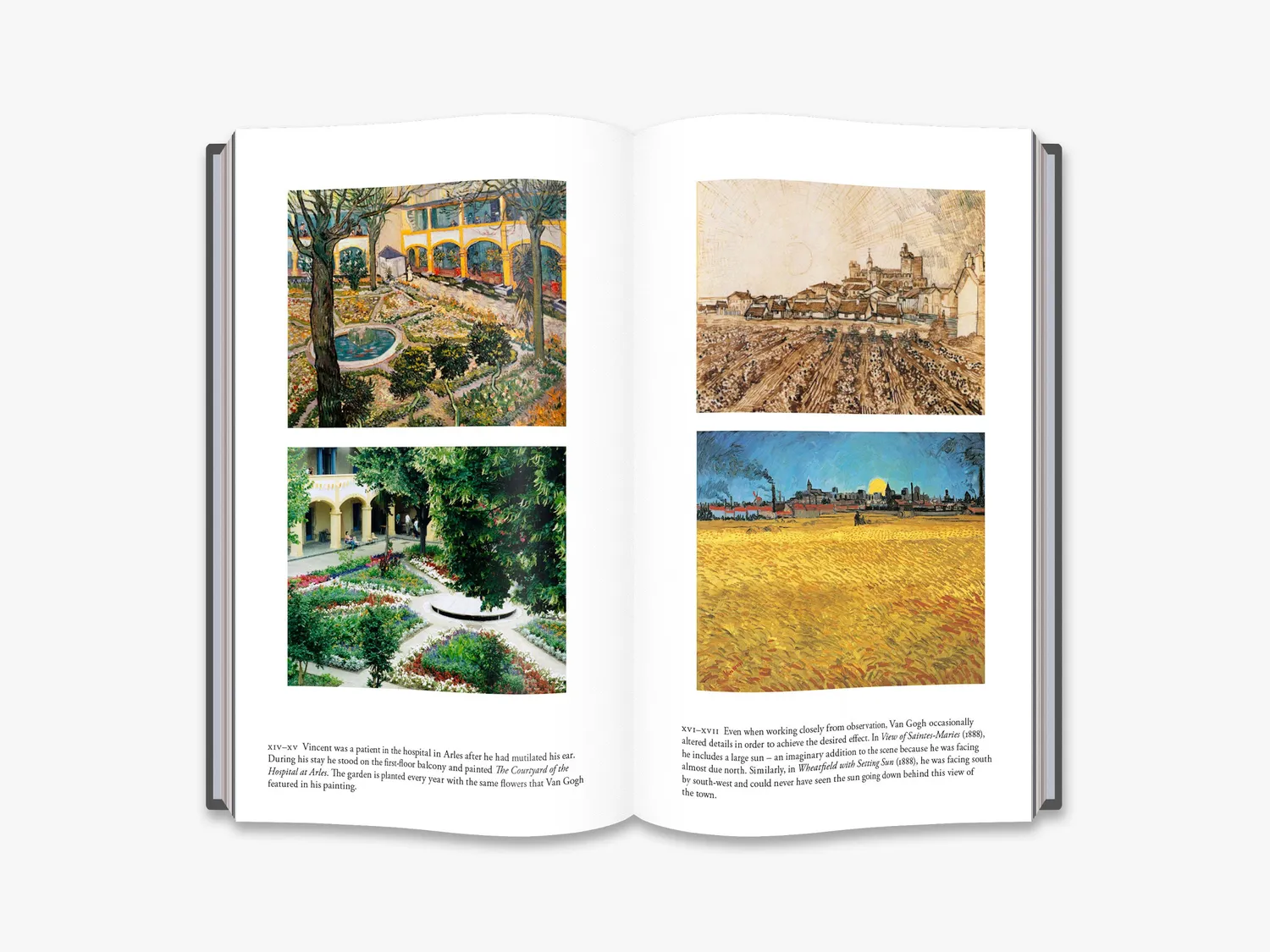 Thames & Hudson Who Shot Van Gogh? bog kunsthistorie
