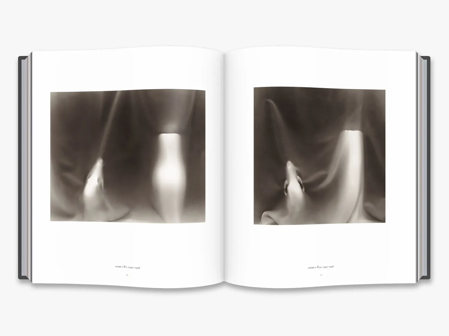 Thames & Hudson Skull Lynn Stern fotobog kranier