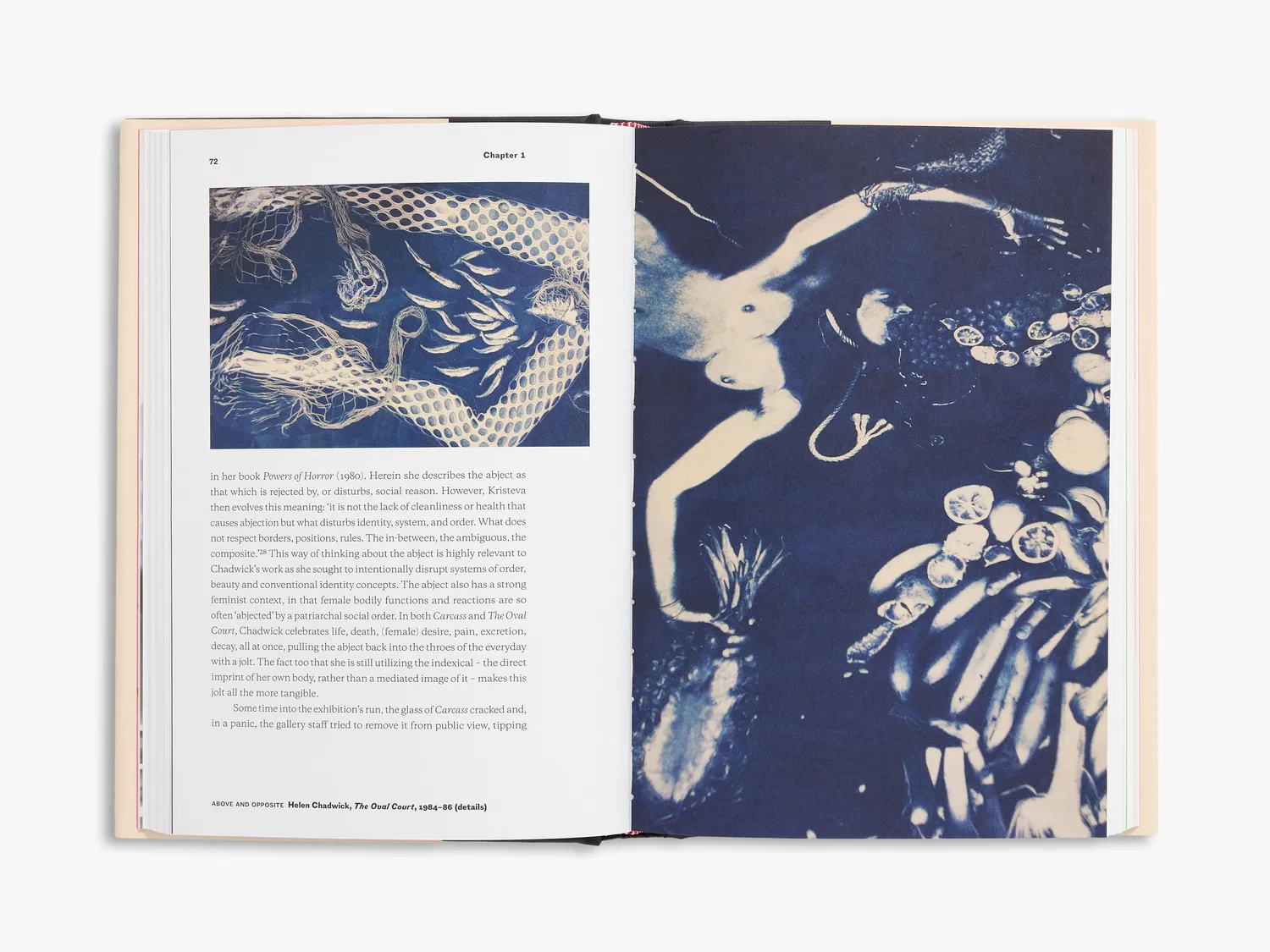 Thames & Hudson Helen Chadwick bog kunstmonografi