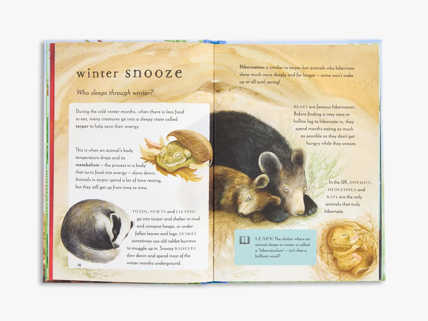 Thames & Hudson A Field Guide to Winter børnebog natur