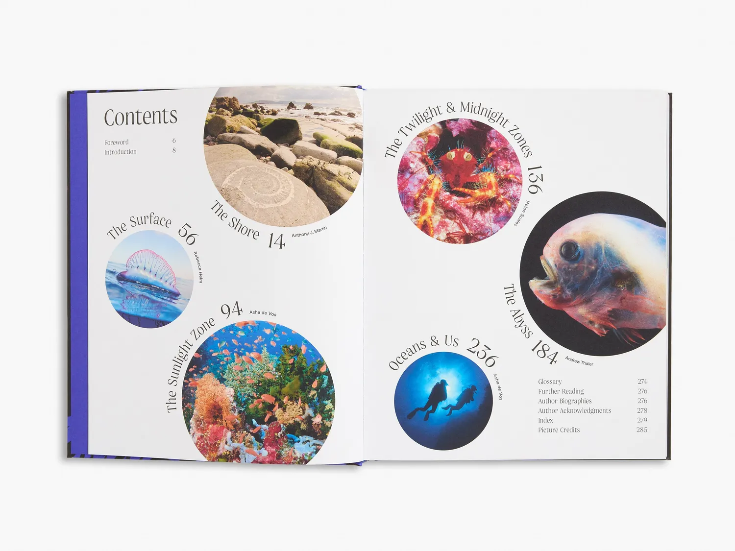 Thames & Hudson Ocean bog havets dybder illustreret
