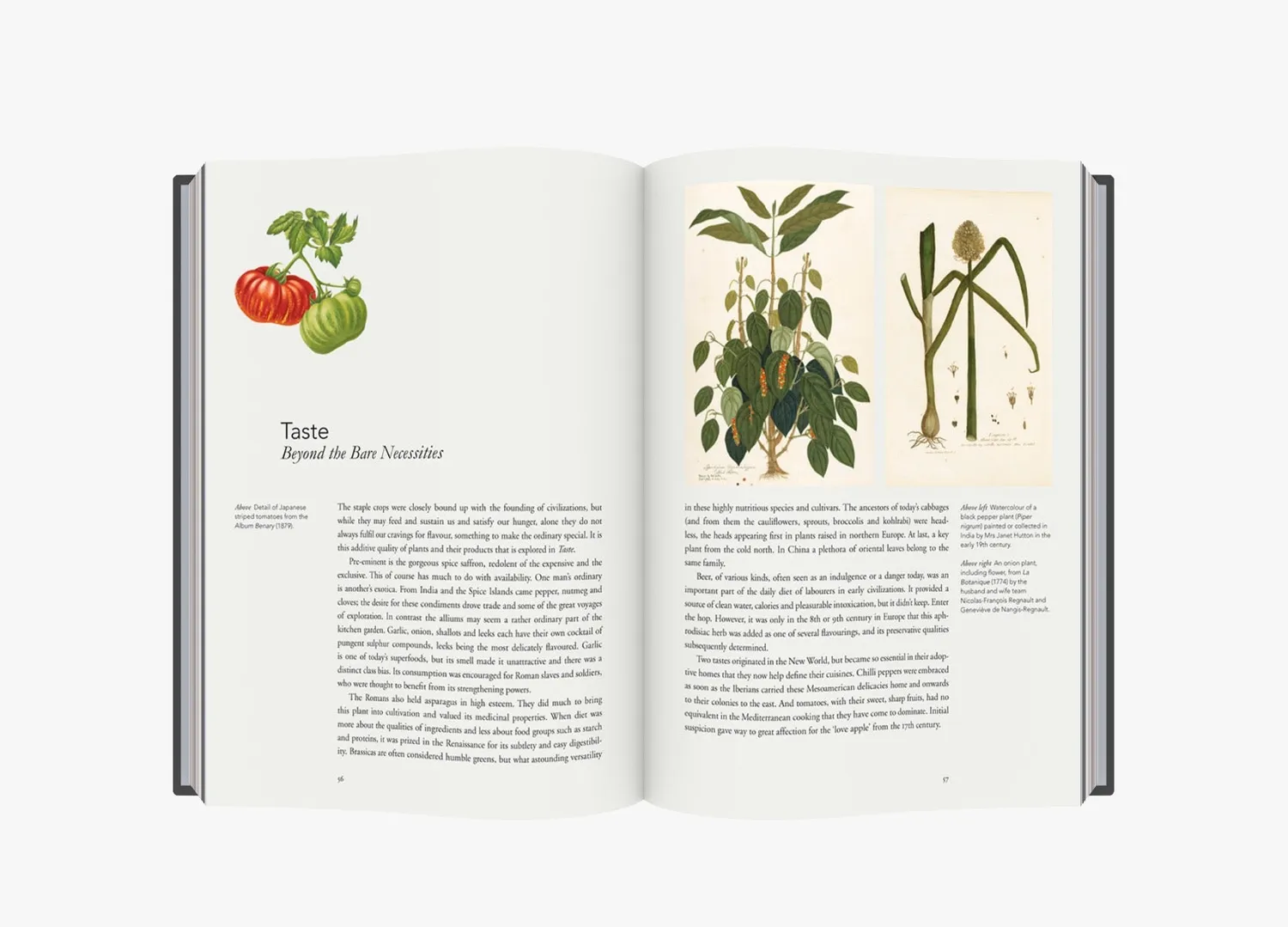 Thames & Hudson Remarkable Plants That Shape Our World bog