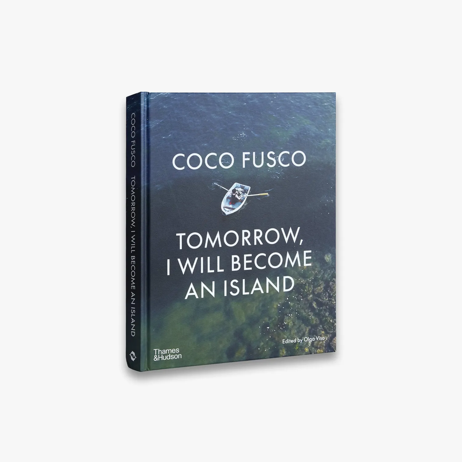 Thames & Hudson Coco Fusco bog om samtidskunst