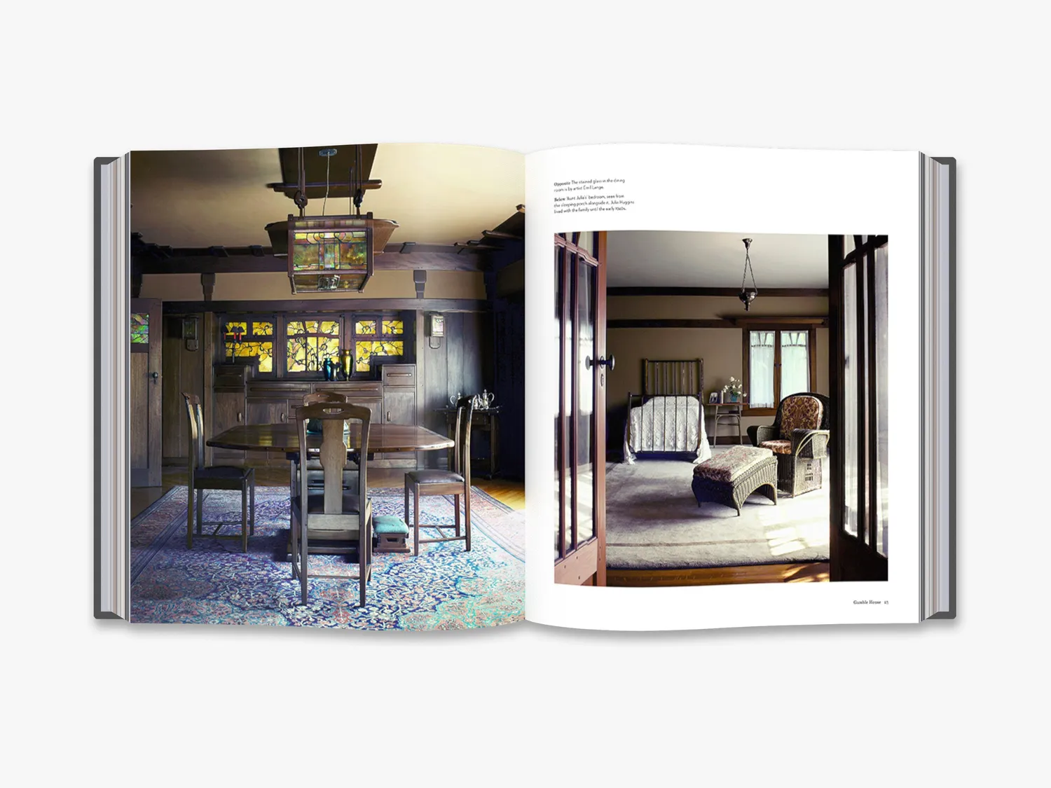 Thames & Hudson The Iconic American House arkitekturbog
