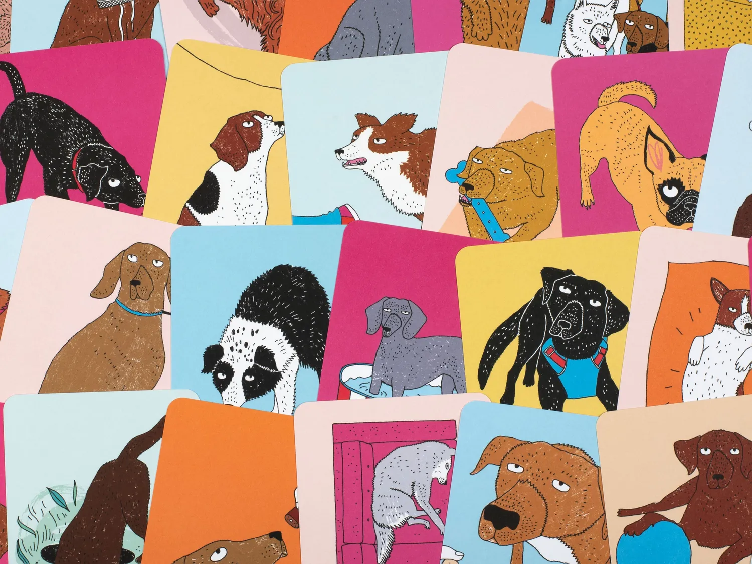 Thames & Hudson School For Dogs kortæske – træning