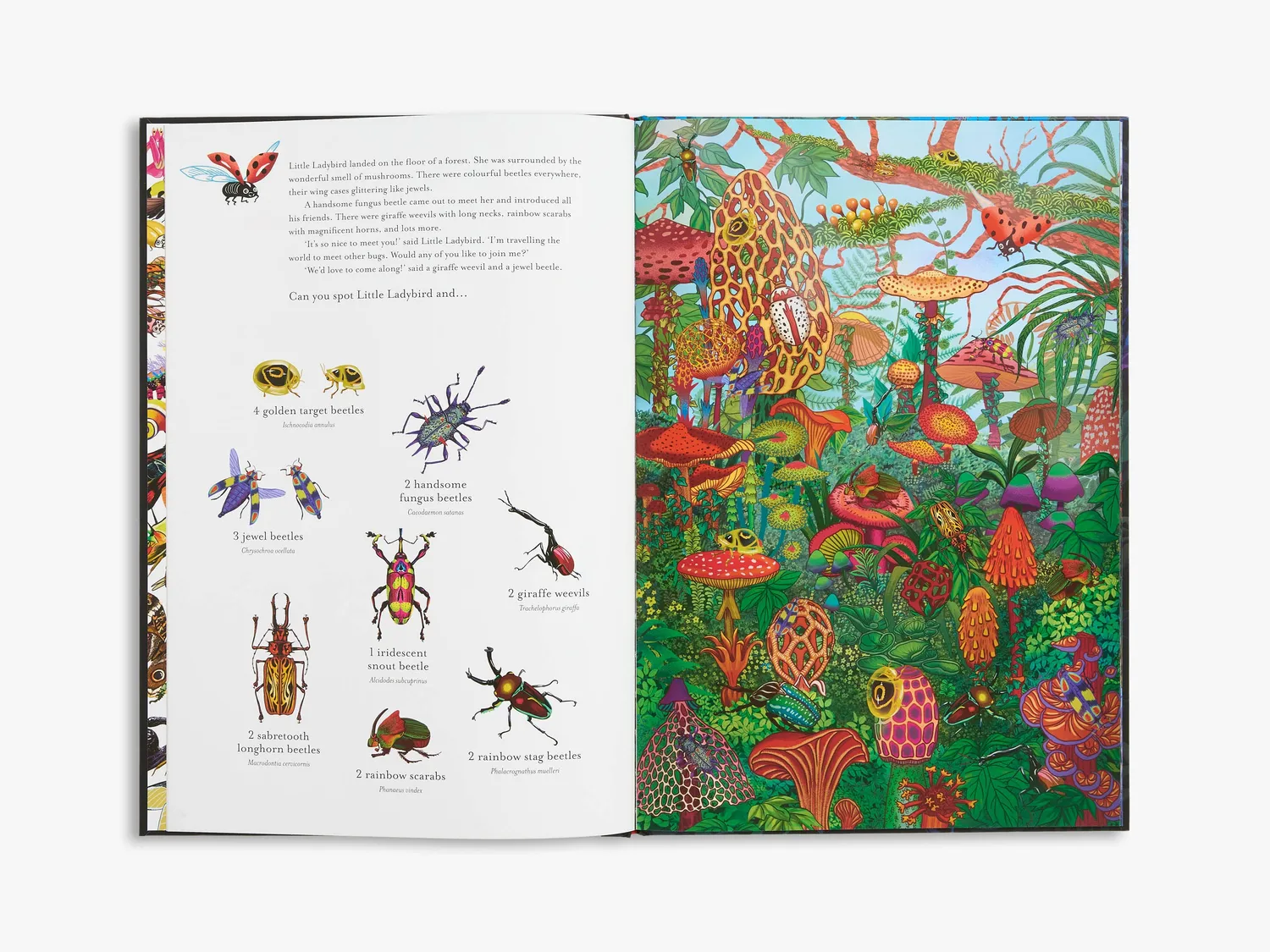 Thames & Hudson The Incredible 3D Bug Hunt børnebog med 3D-briller